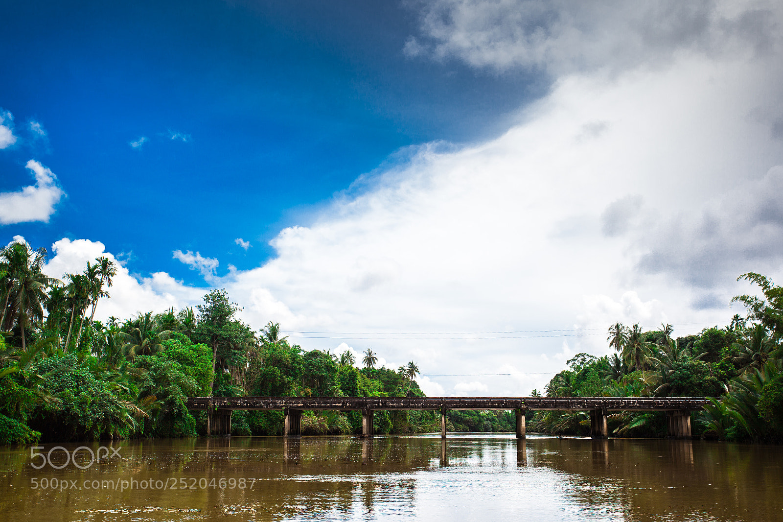 Canon EOS 5D Mark II sample photo. Img photography