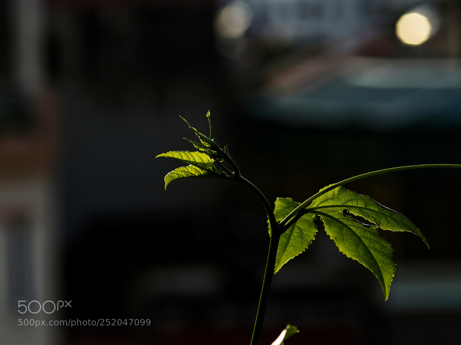 Nikon D7100 sample photo. Untitled photography