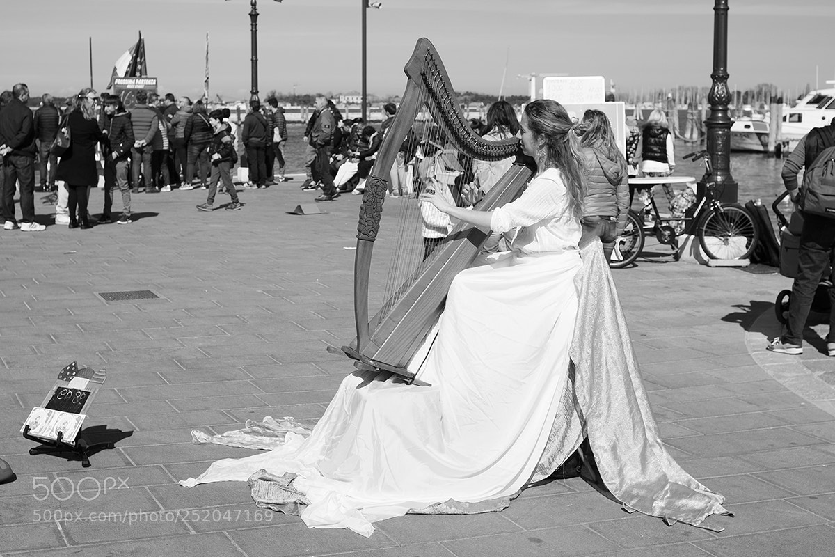 Fujifilm X-T1 sample photo. La cetra photography