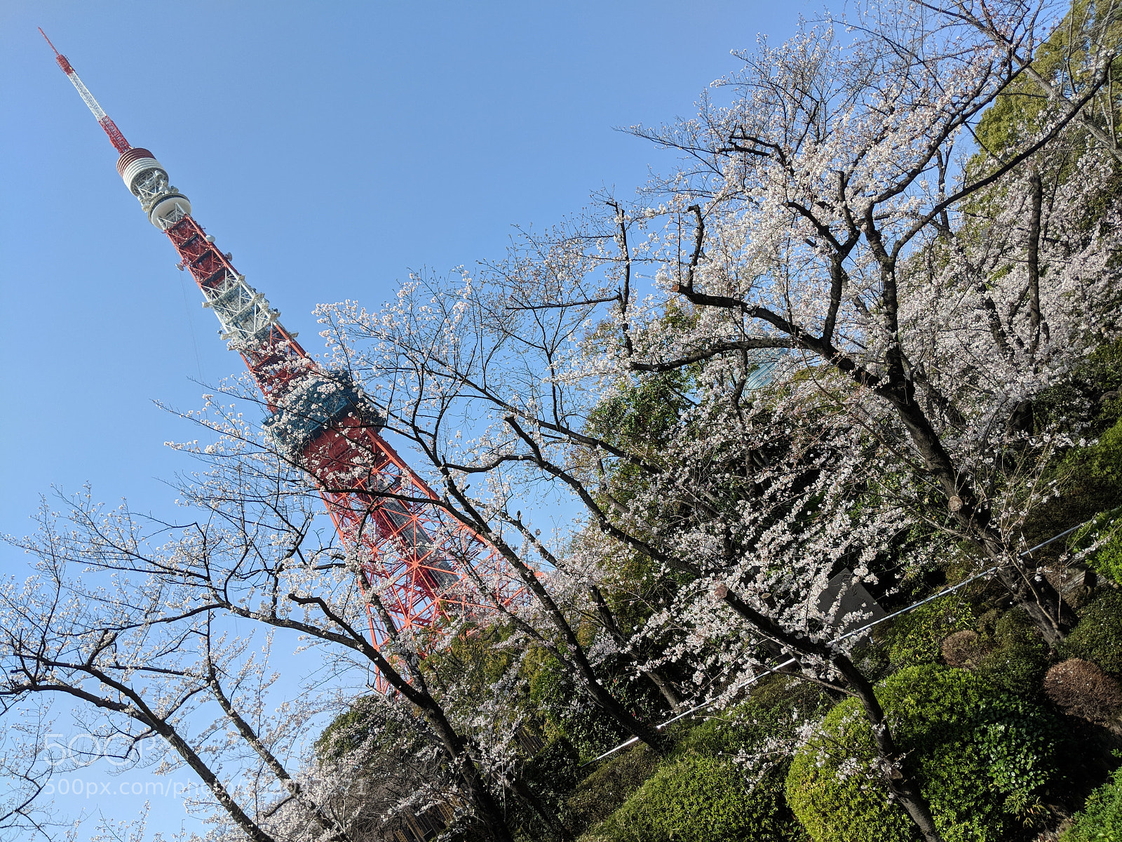 Google Pixel 2 XL sample photo. Untitled photography