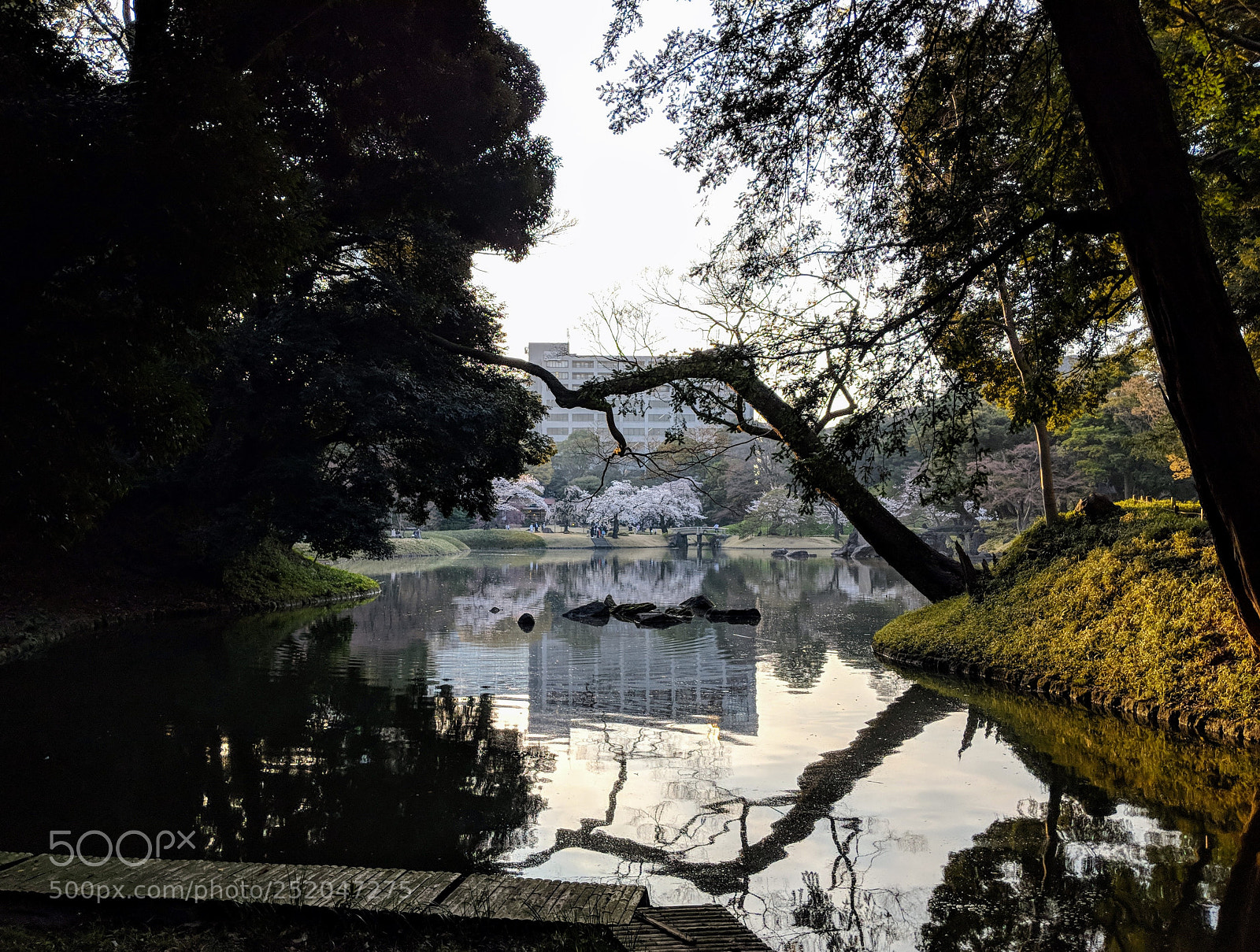 Google Pixel 2 XL sample photo. Untitled photography