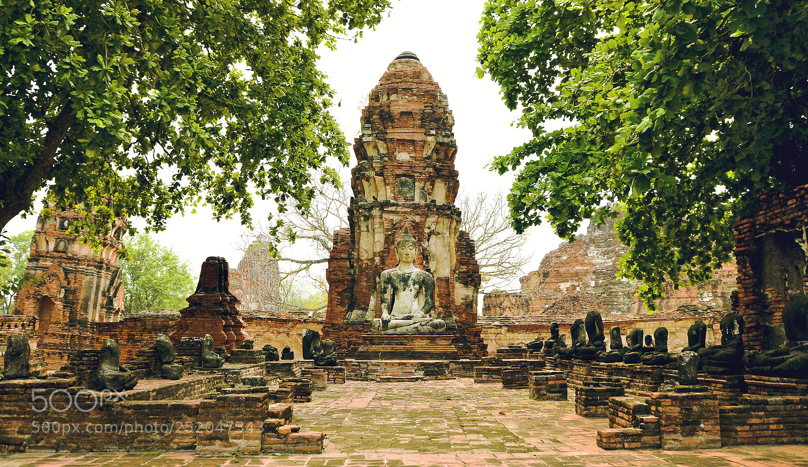 Nikon D5100 sample photo. Thailand photography