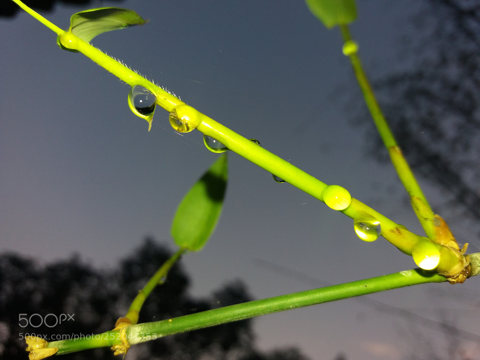 Samsung Galaxy J5 sample photo. Untitled photography
