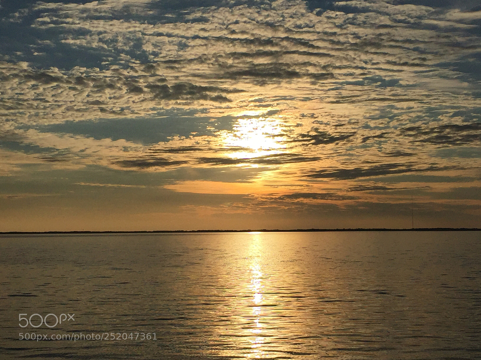 Apple iPhone 6 sample photo. Golden sunset photography