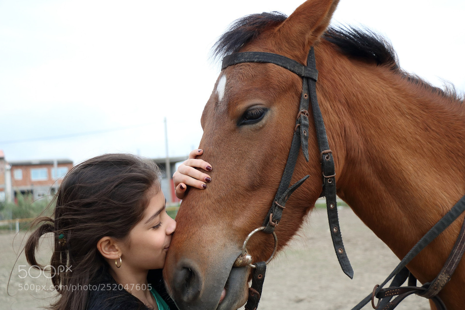 Canon EOS 750D (EOS Rebel T6i / EOS Kiss X8i) sample photo. Img photography