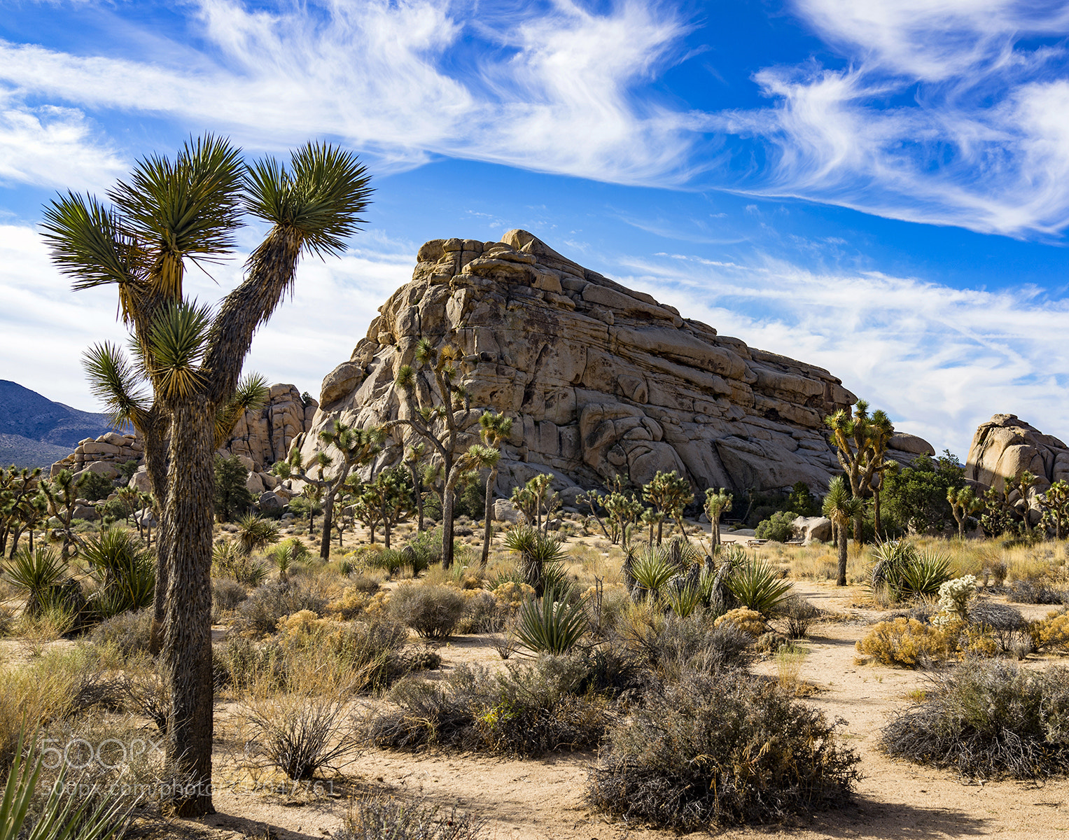 Sony Cyber-shot DSC-RX1 sample photo. High desert morning x photography