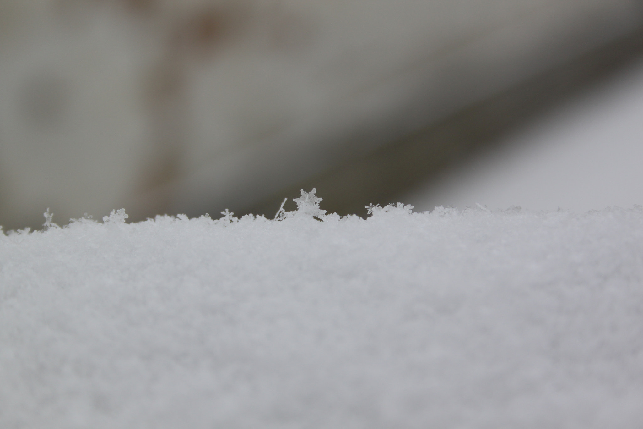 Canon EF-S 18-55mm F3.5-5.6 II sample photo. Snowflake photography