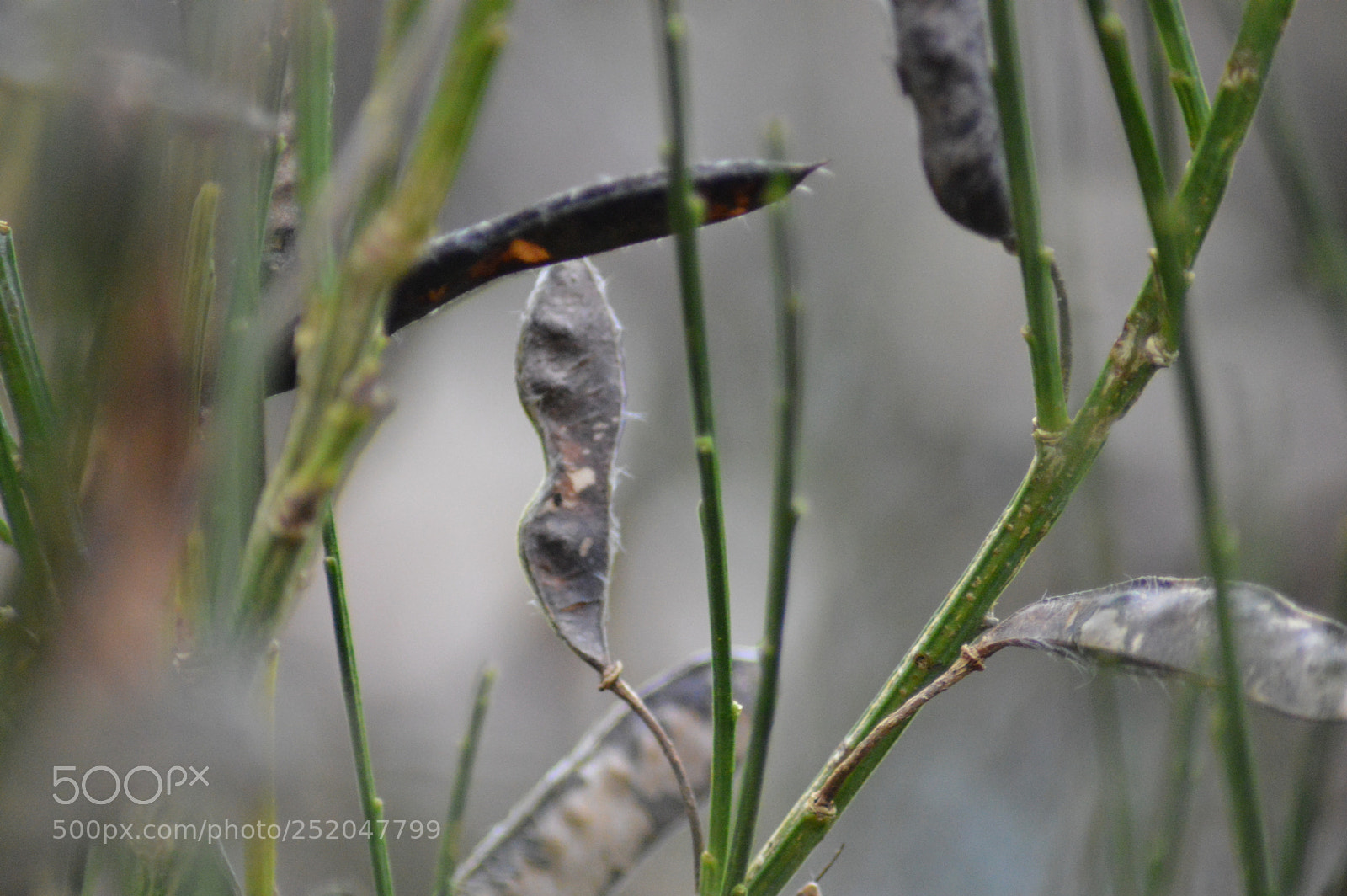 Nikon D3200 sample photo. () photography