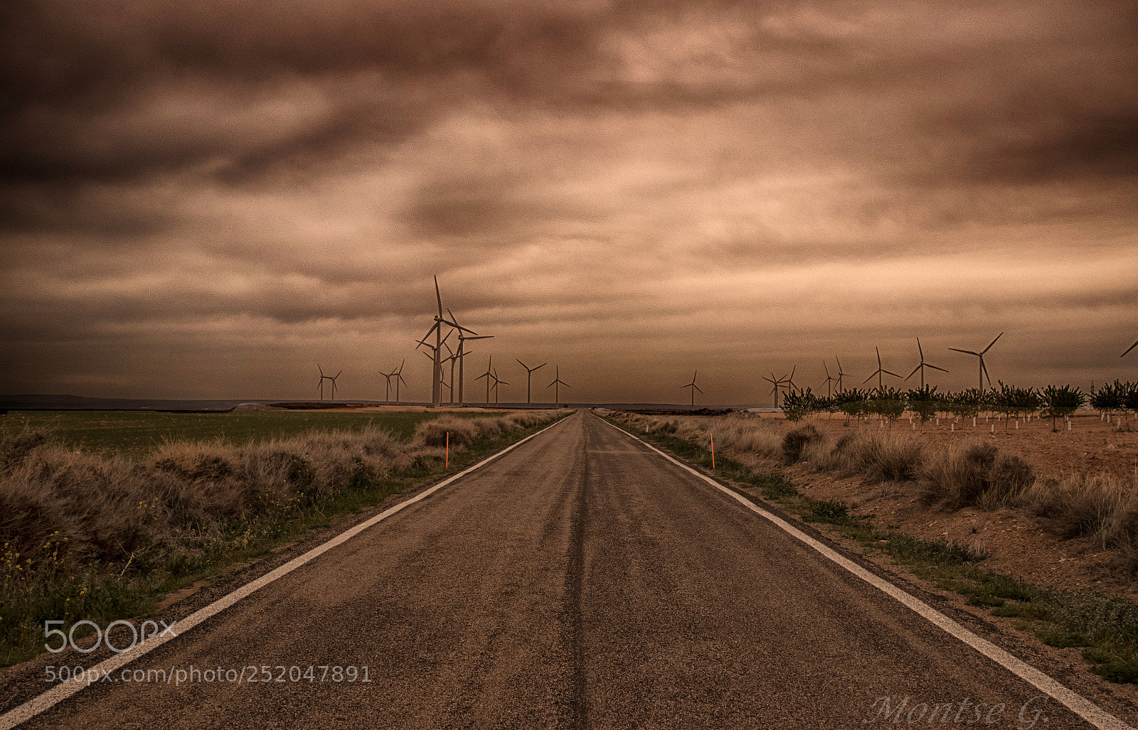 Canon EOS 77D (EOS 9000D / EOS 770D) sample photo. The road. photography