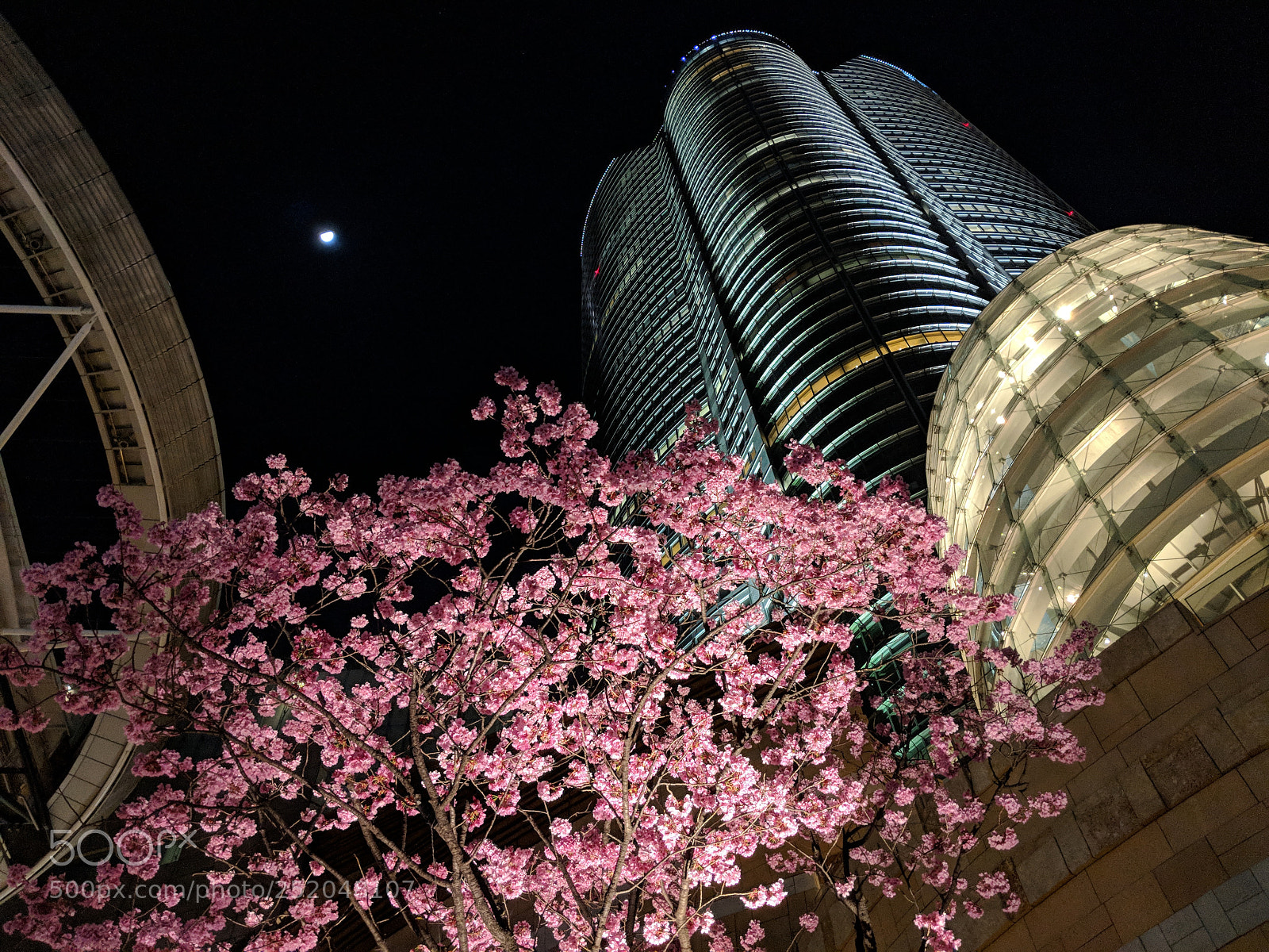 Google Pixel 2 XL sample photo. Untitled photography