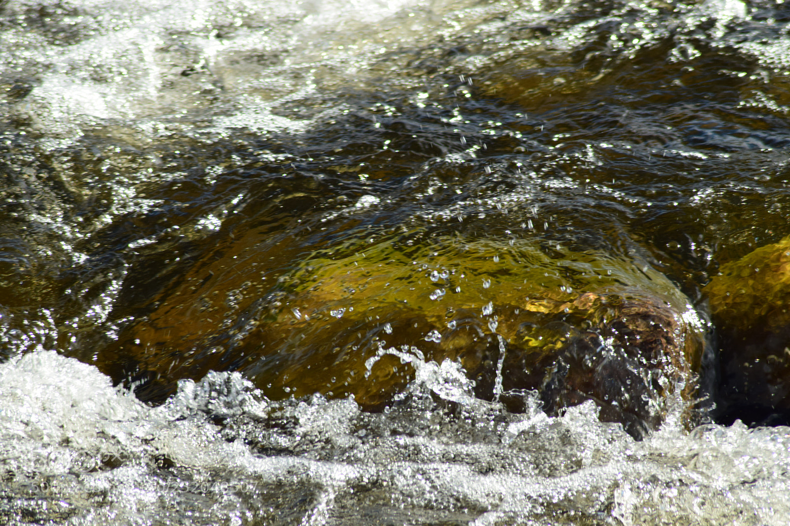 Nikon D5300 sample photo. () photography
