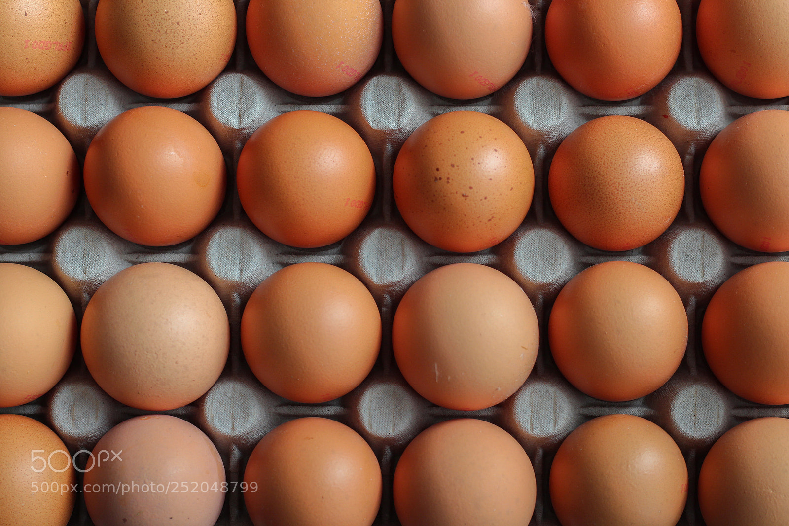 Canon EOS 1300D (EOS Rebel T6 / EOS Kiss X80) sample photo. Eggs photography