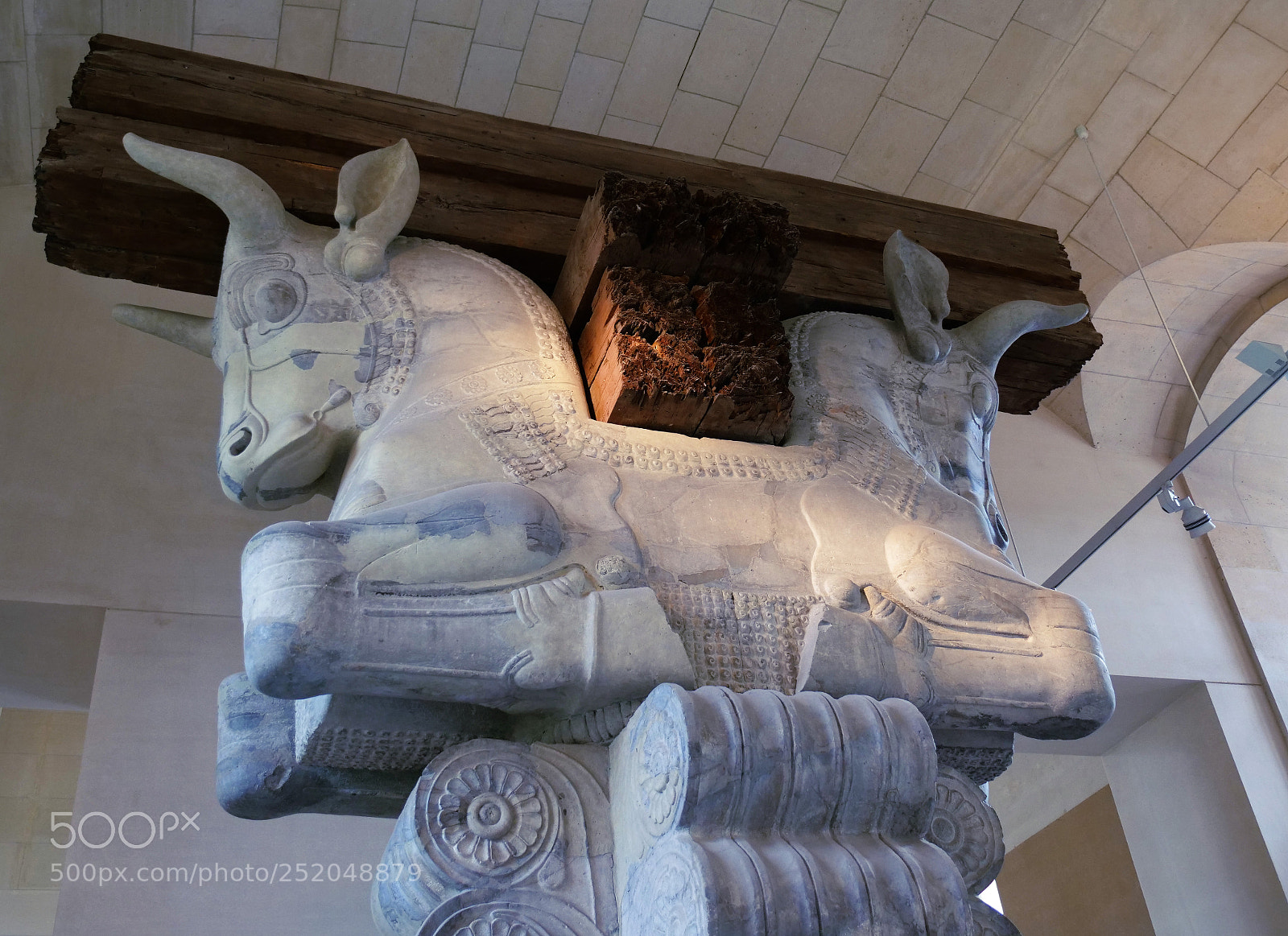 Panasonic Lumix DC-GH5 sample photo. Chapiteau d'une colonne de photography