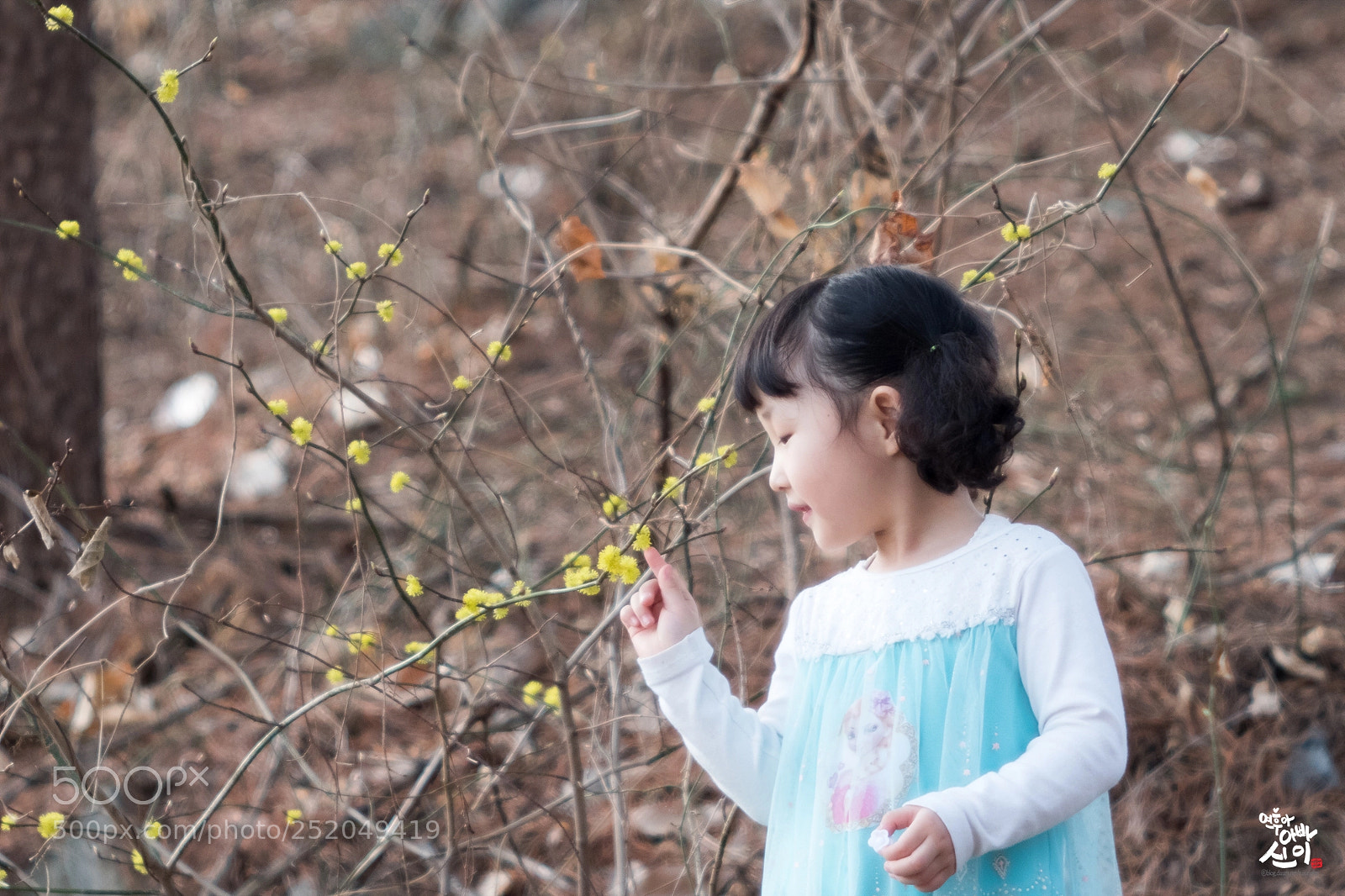 Fujifilm X-T2 sample photo. Girl and flower photography