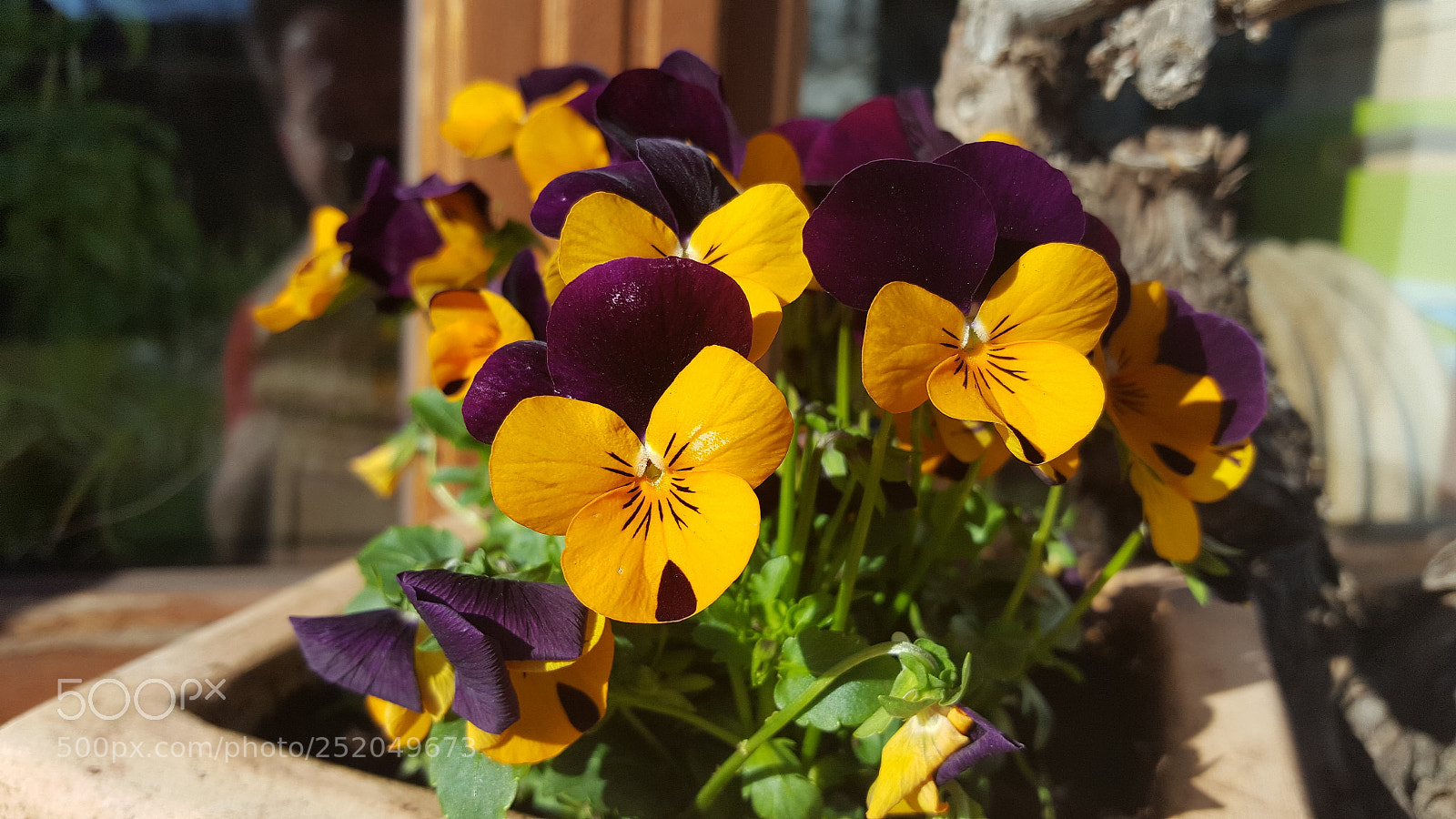 Samsung Galaxy S6 sample photo. Unser garten photography