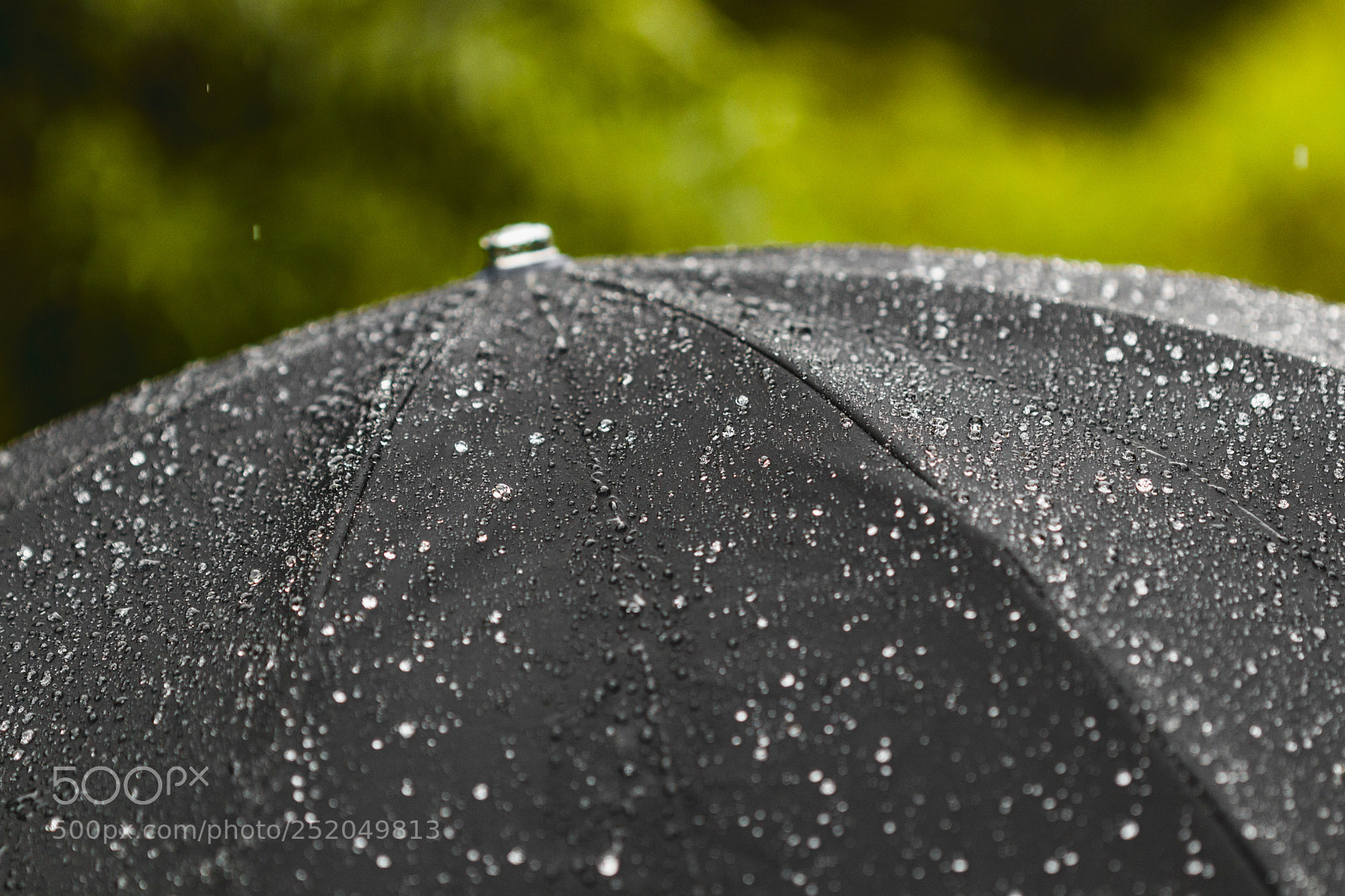 Canon EOS 80D sample photo. Monsoon photography