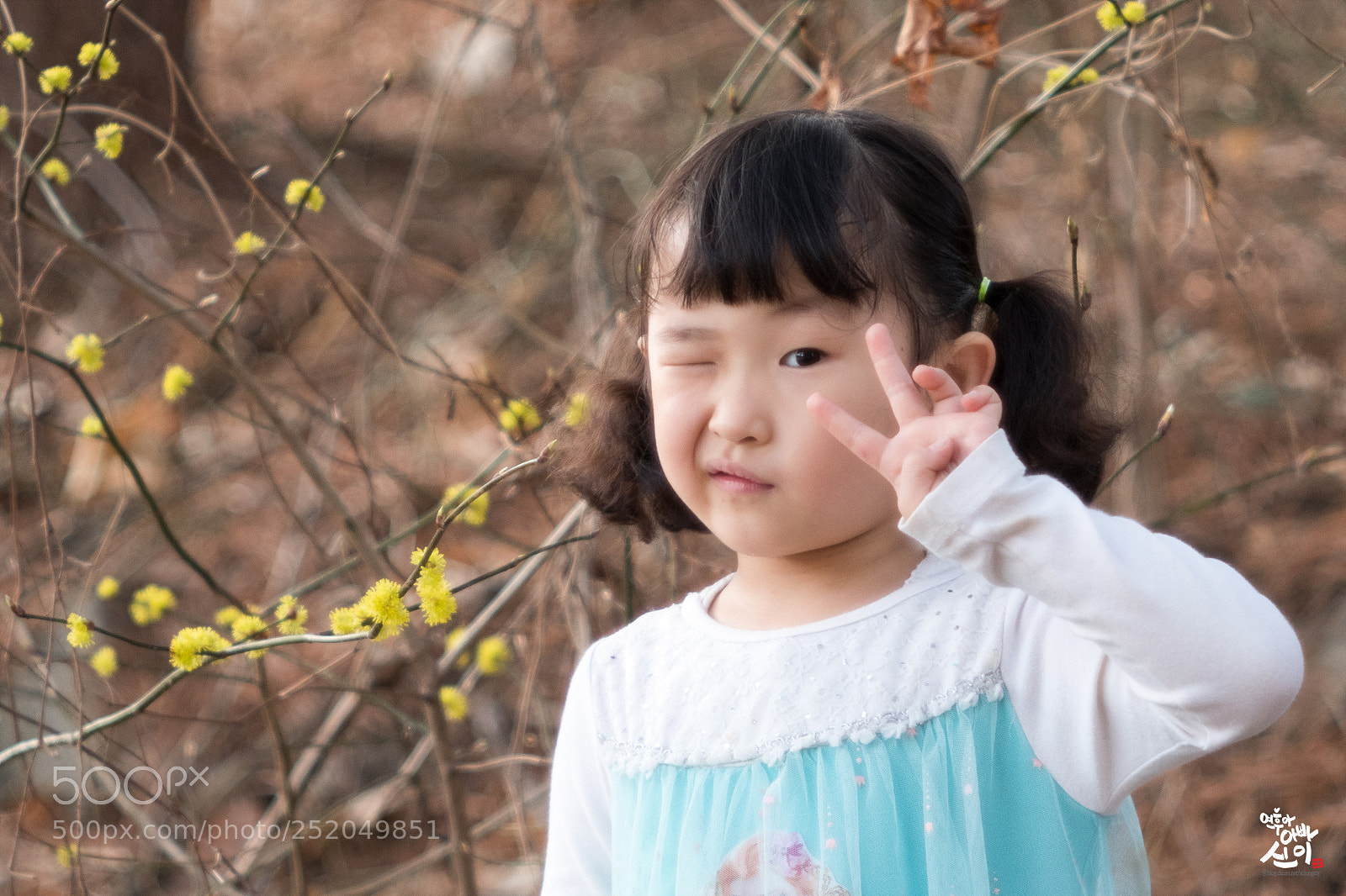 Fujifilm X-T2 sample photo. Wink~♥ photography