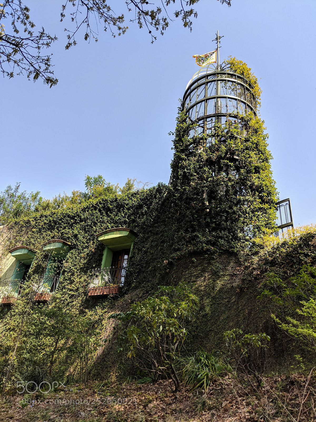 Google Pixel 2 XL sample photo. Untitled photography