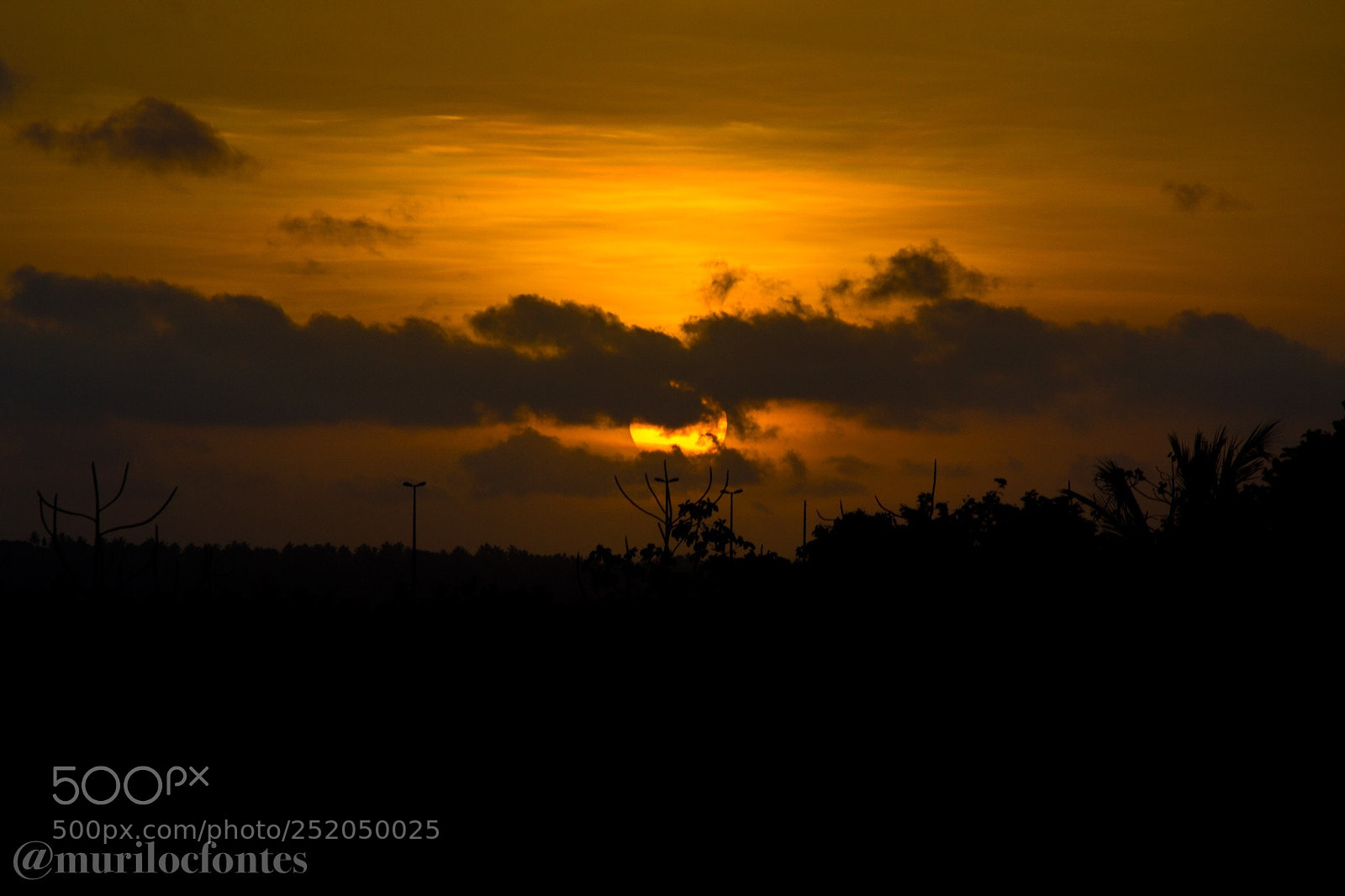 Nikon D3100 sample photo. Untitled photography