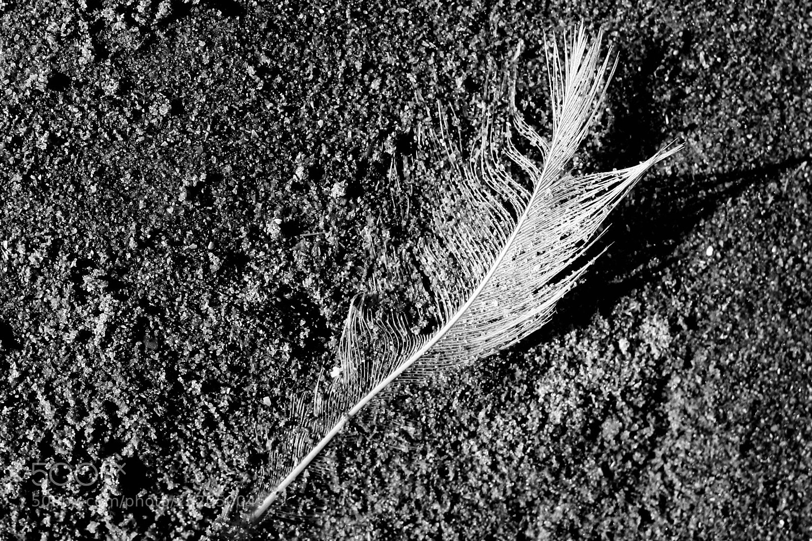 Canon EOS 80D sample photo. In the sand photography