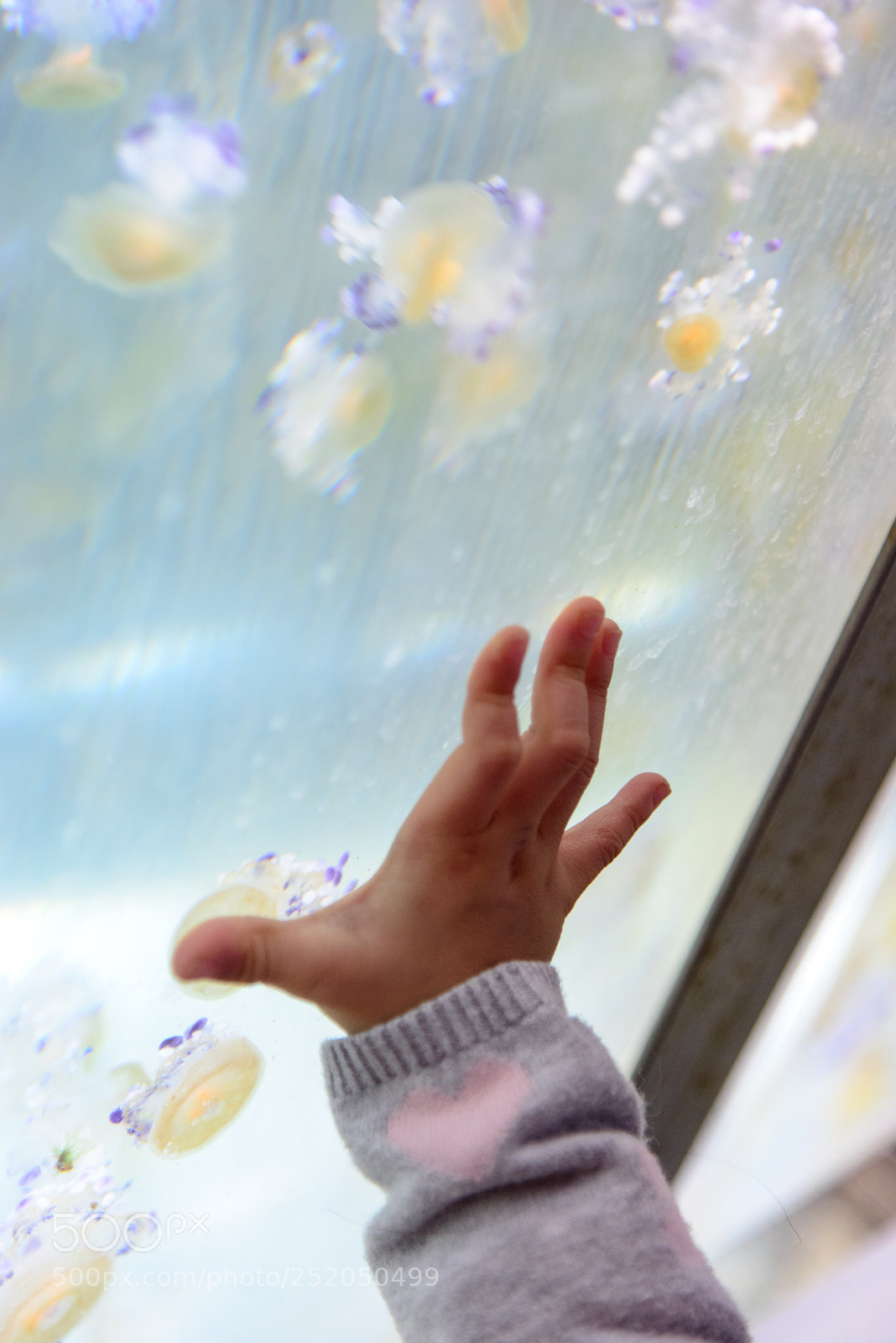 Nikon D800 sample photo. The touch of the photography