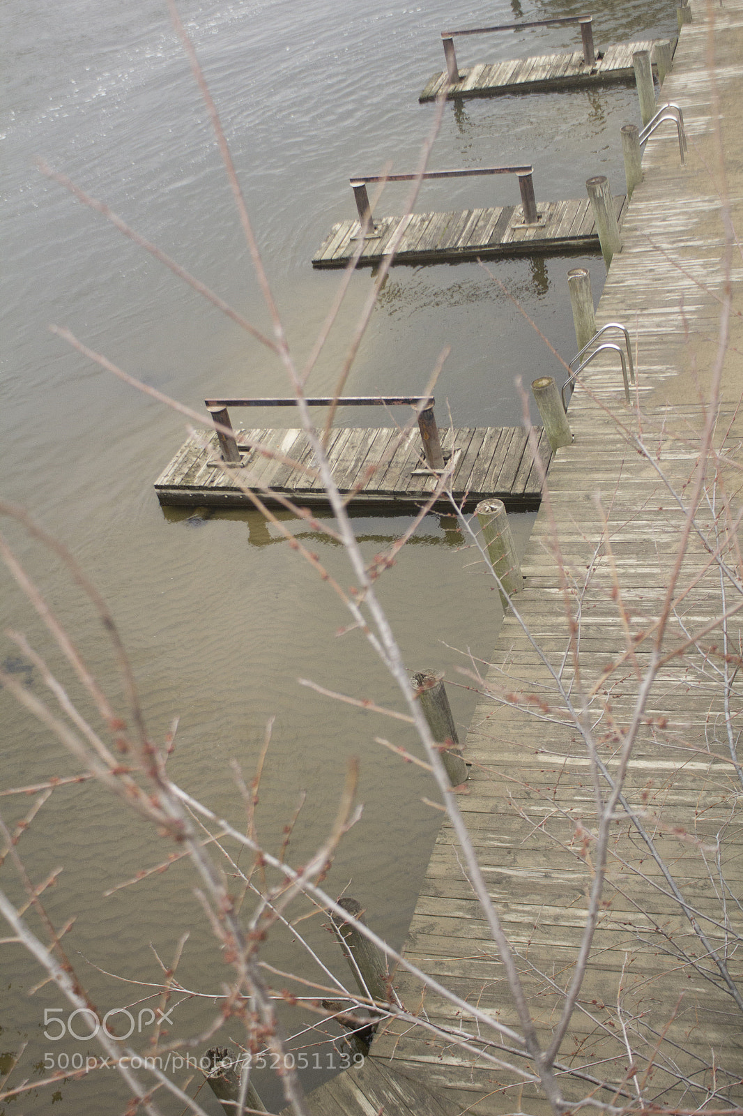 Canon EOS 1200D (EOS Rebel T5 / EOS Kiss X70 / EOS Hi) sample photo. Branches at the marina. photography