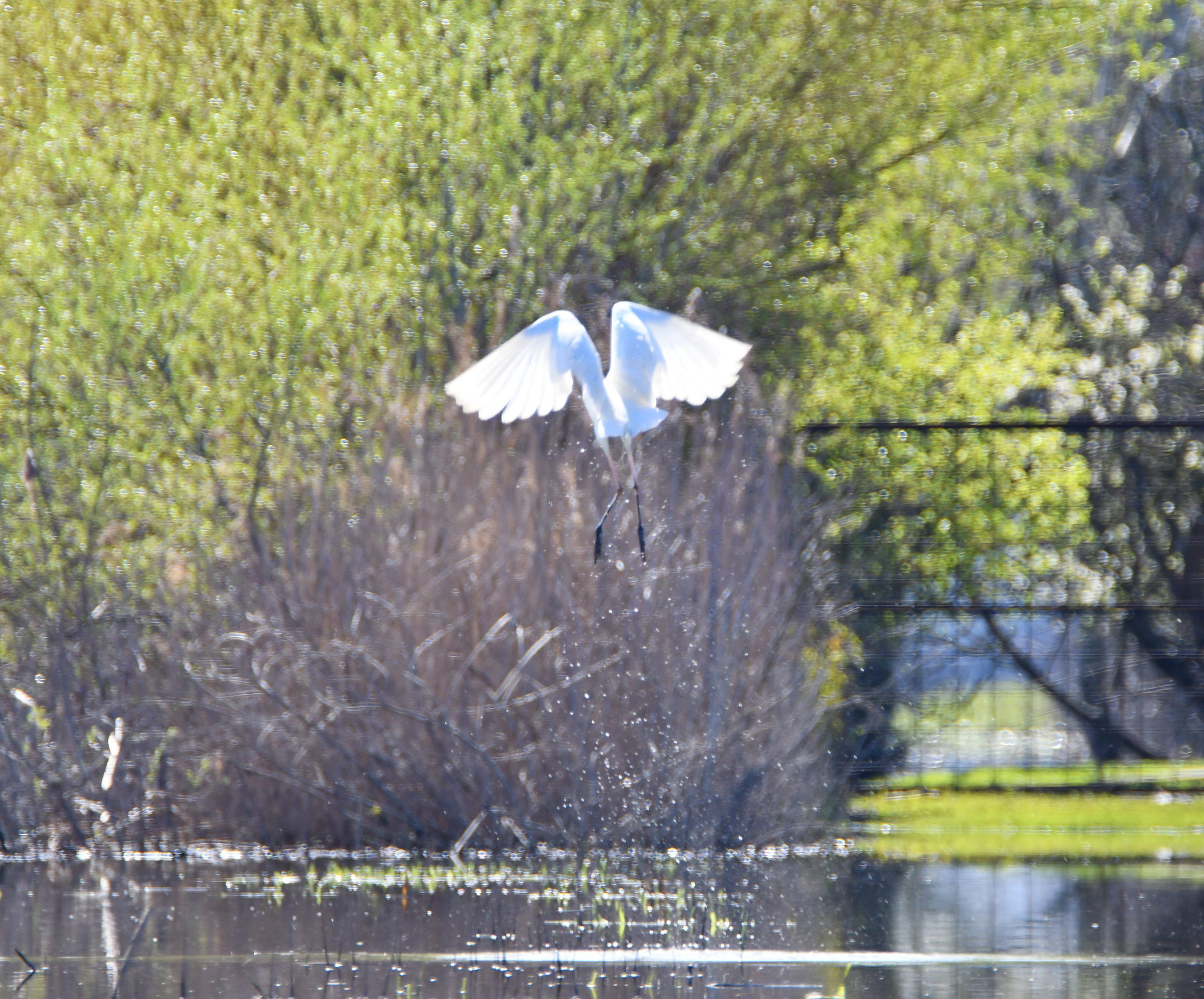 Nikon D7500 sample photo. 303.jpg photography