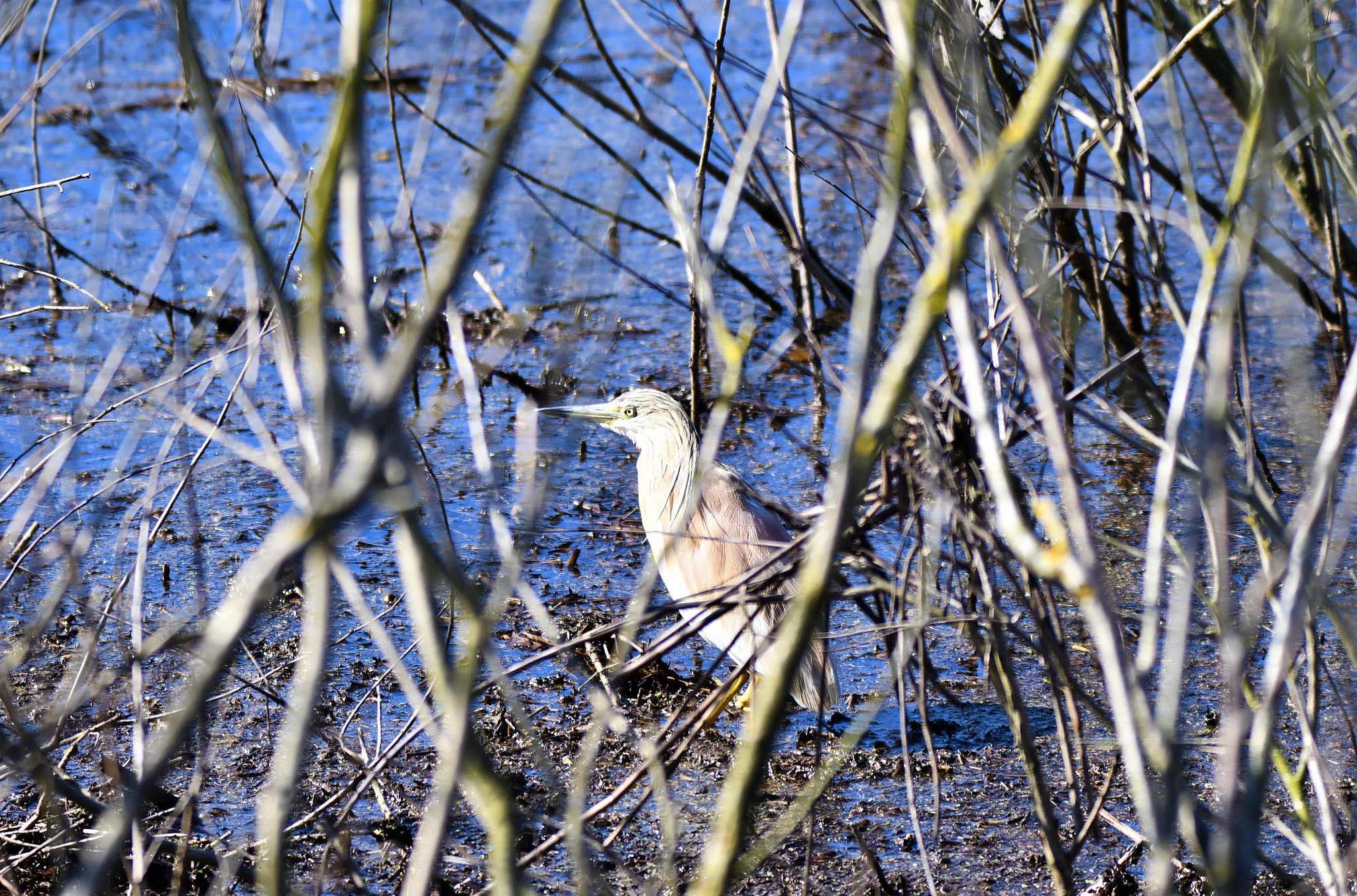 Nikon D7500 sample photo. 281.jpg photography