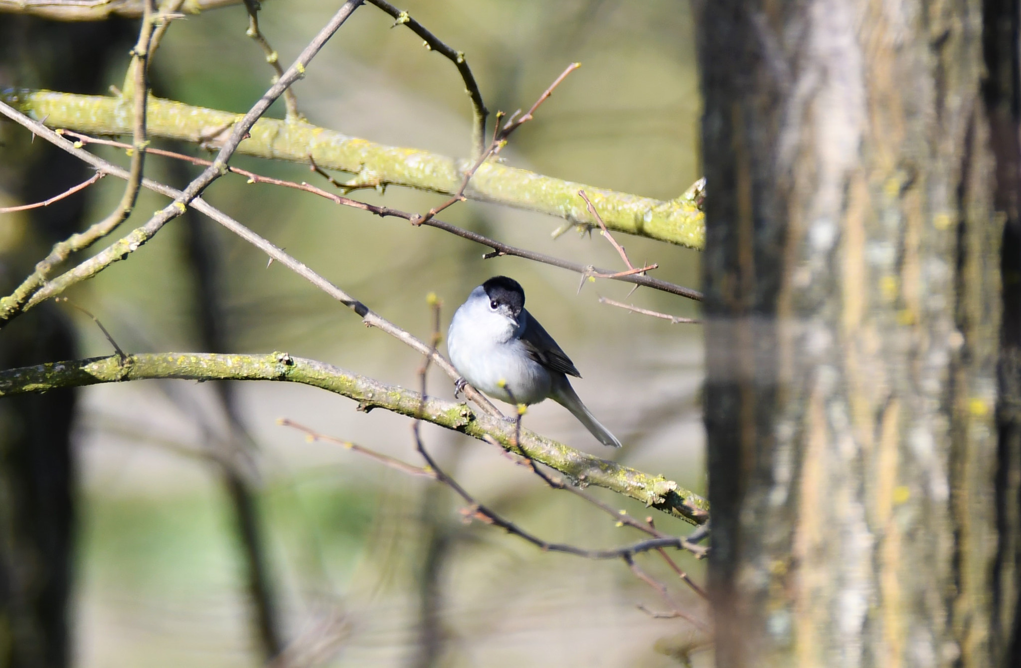Nikon D7500 sample photo. 396.jpg photography