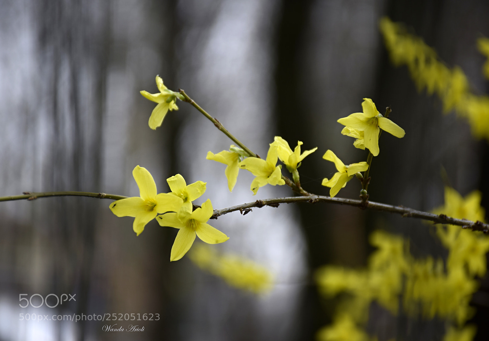 Nikon D5300 sample photo. Untitled photography