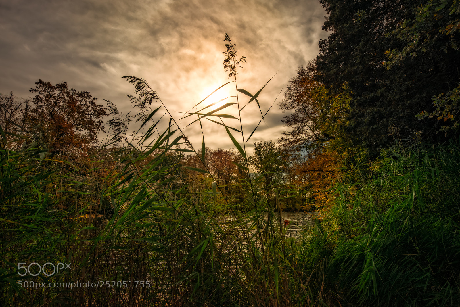 Nikon D800 sample photo. Fall day photography