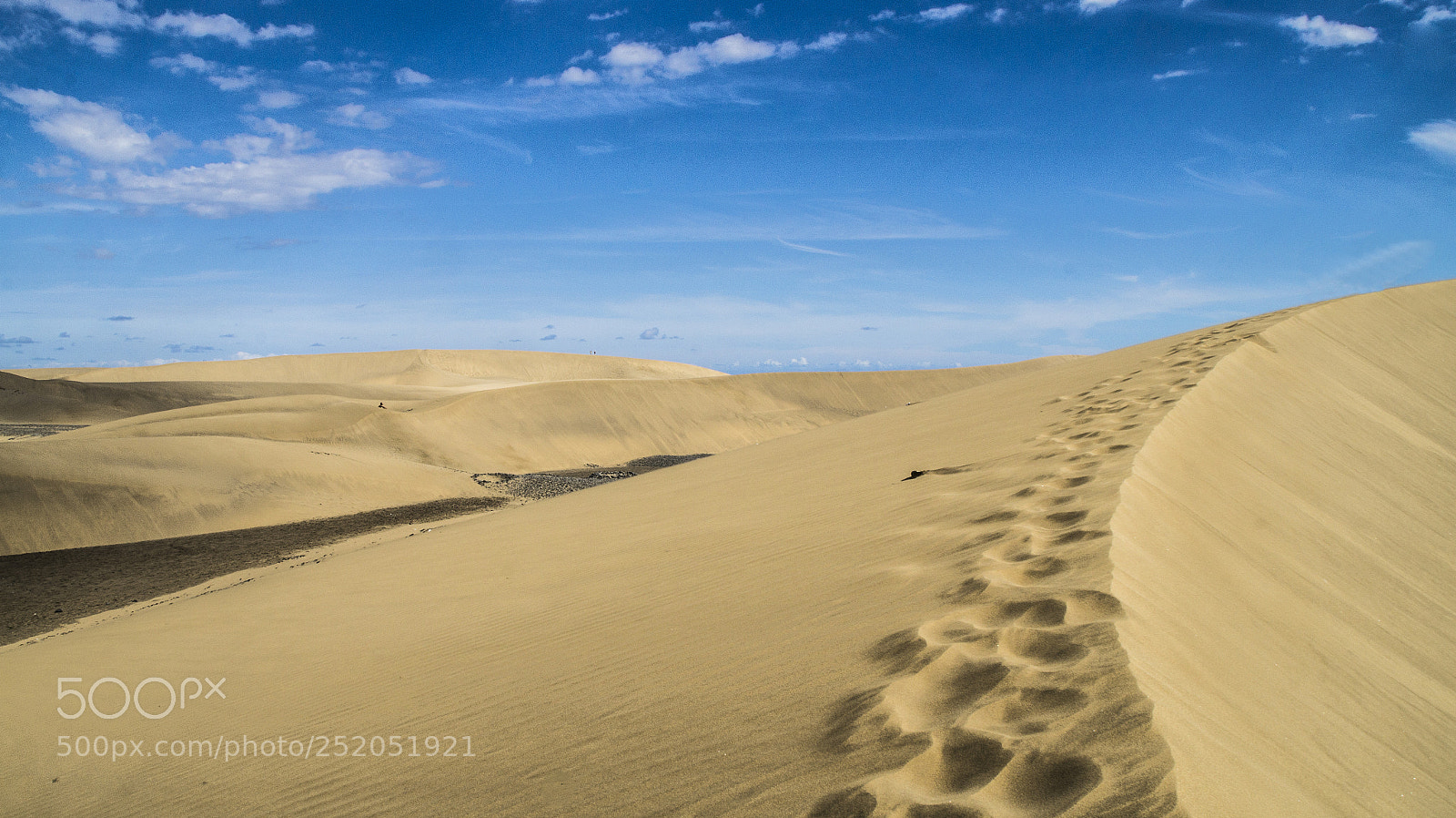 Sony SLT-A58 sample photo. Sand path photography