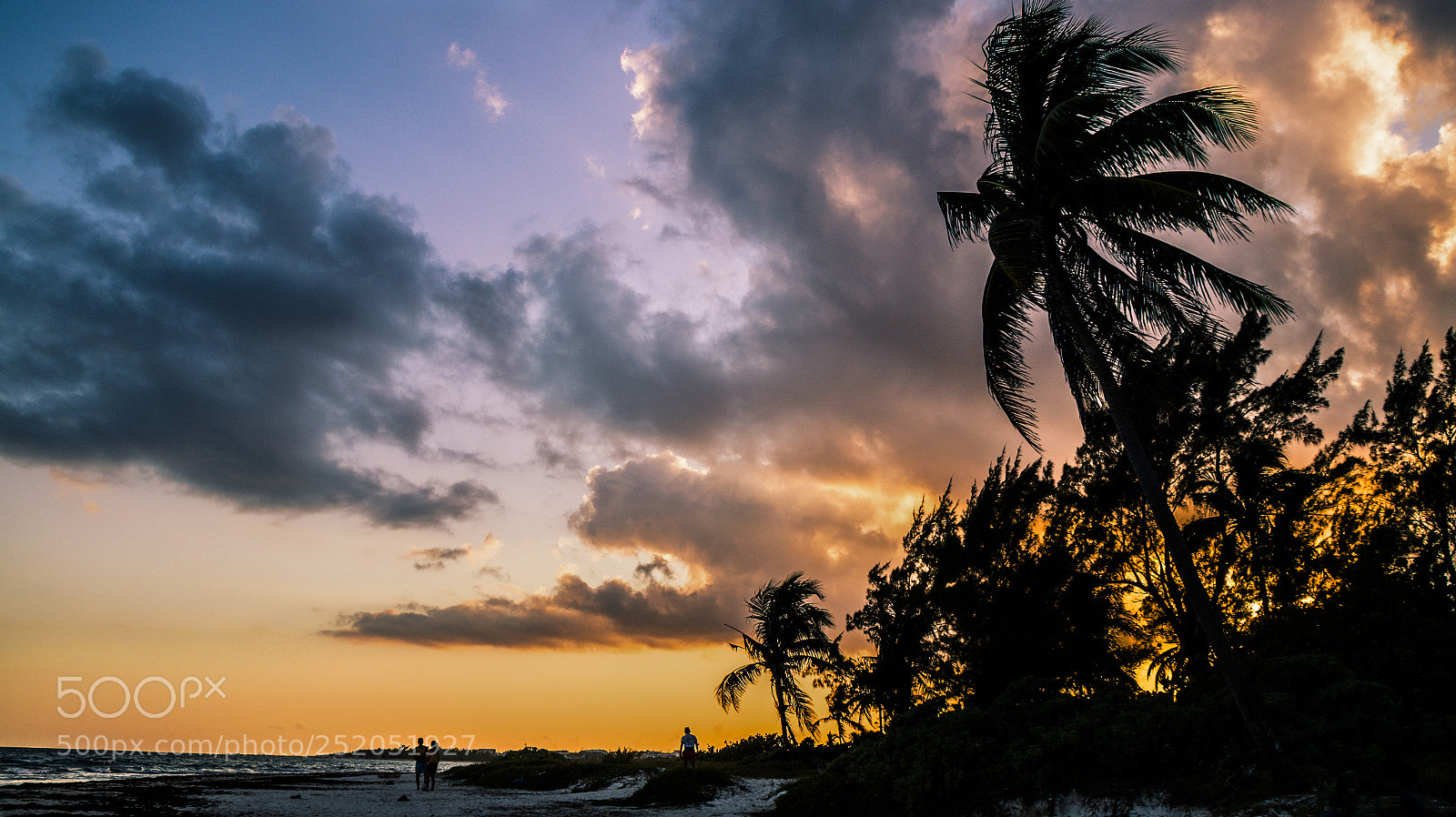 Sony SLT-A58 sample photo. Sunset of life photography