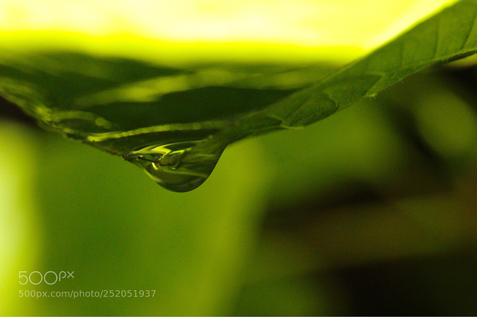Canon EOS 70D sample photo. Drop photography