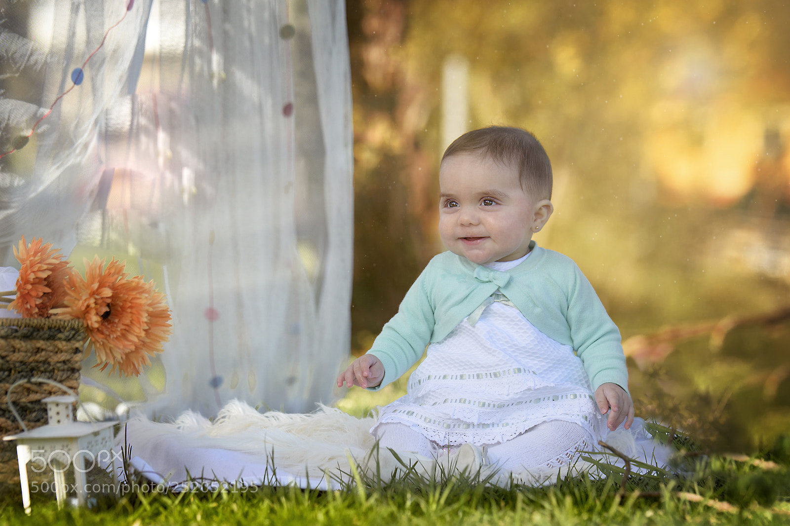 Nikon D500 sample photo. Candela photography