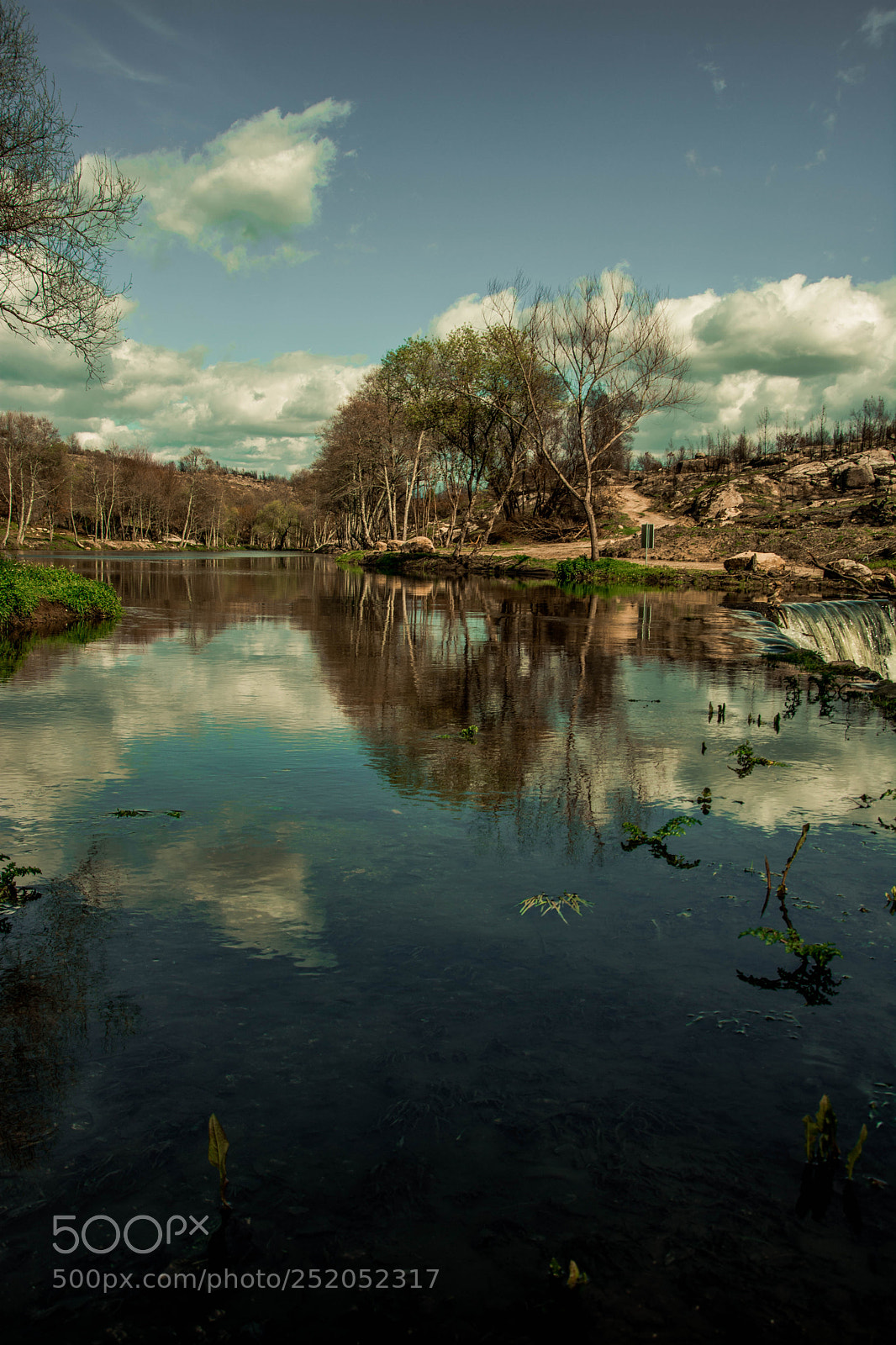 Nikon D5200 sample photo. Mirror photography