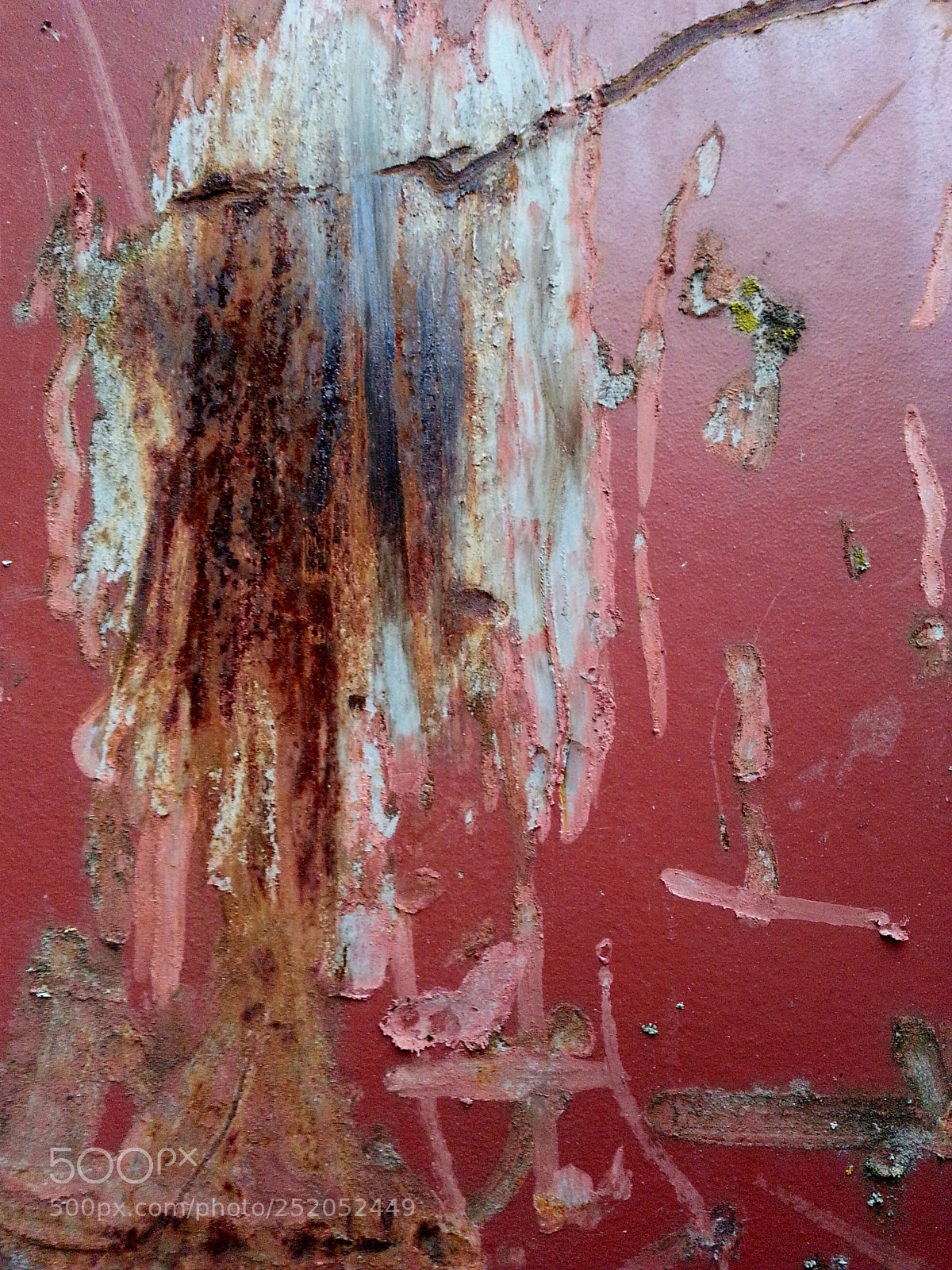 Samsung Galaxy S3 sample photo. Acid rain photography