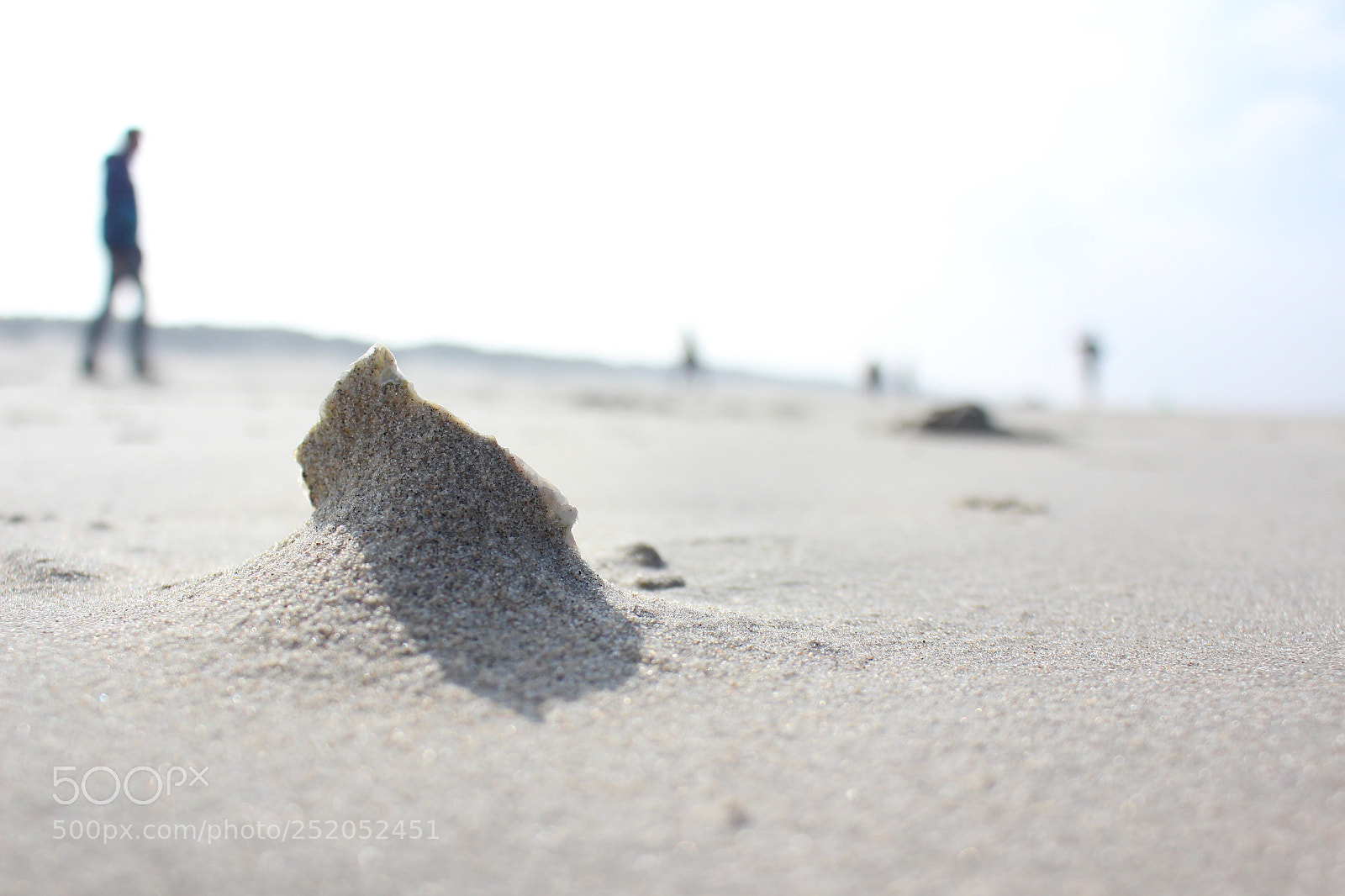 Canon EOS 700D (EOS Rebel T5i / EOS Kiss X7i) sample photo. Untitled photography