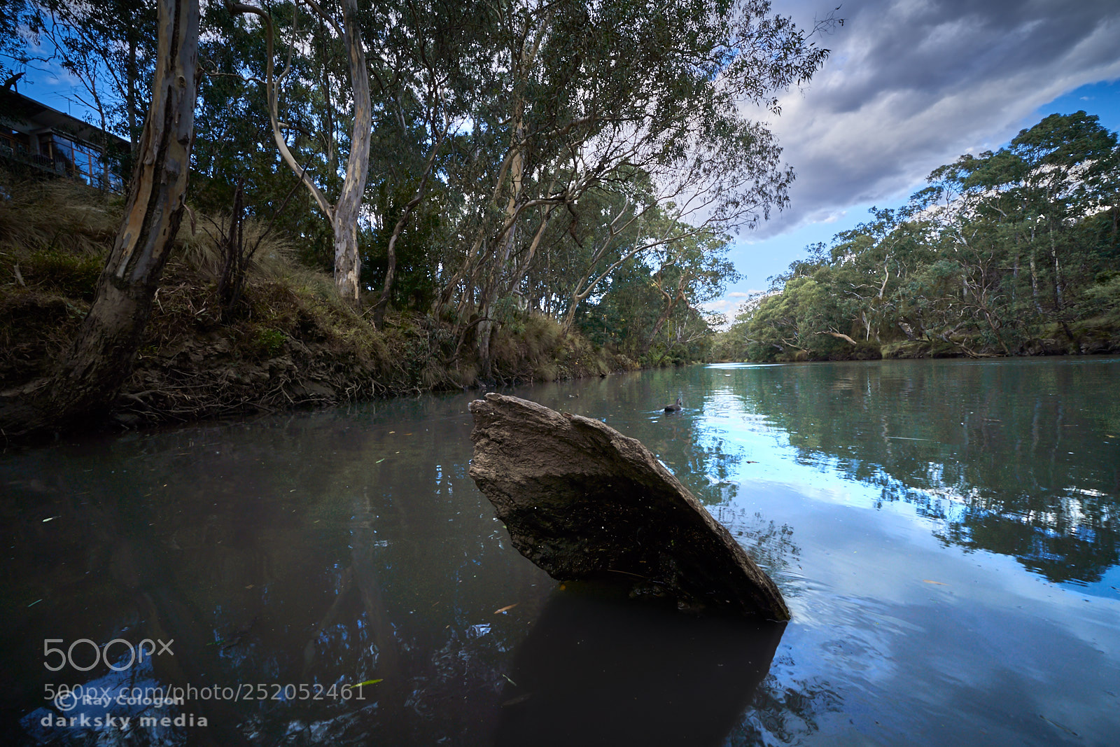 Sony a7R III sample photo. Ragged river stump photography