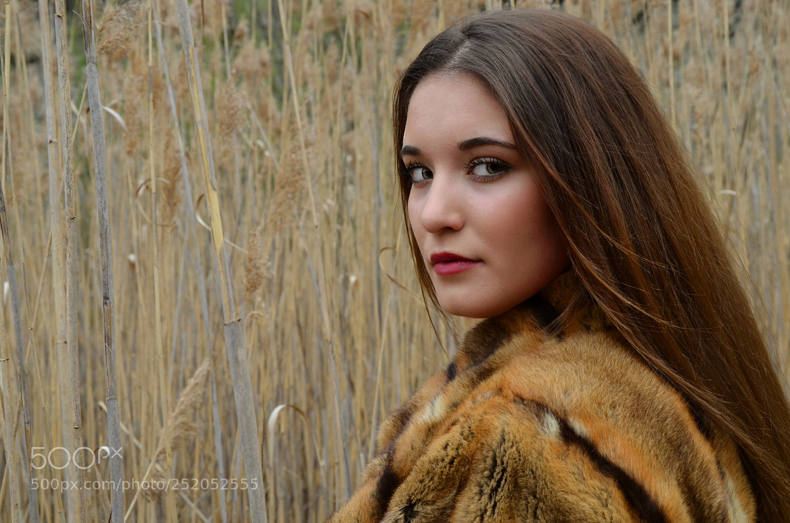 Nikon D5100 sample photo. Wild child photography