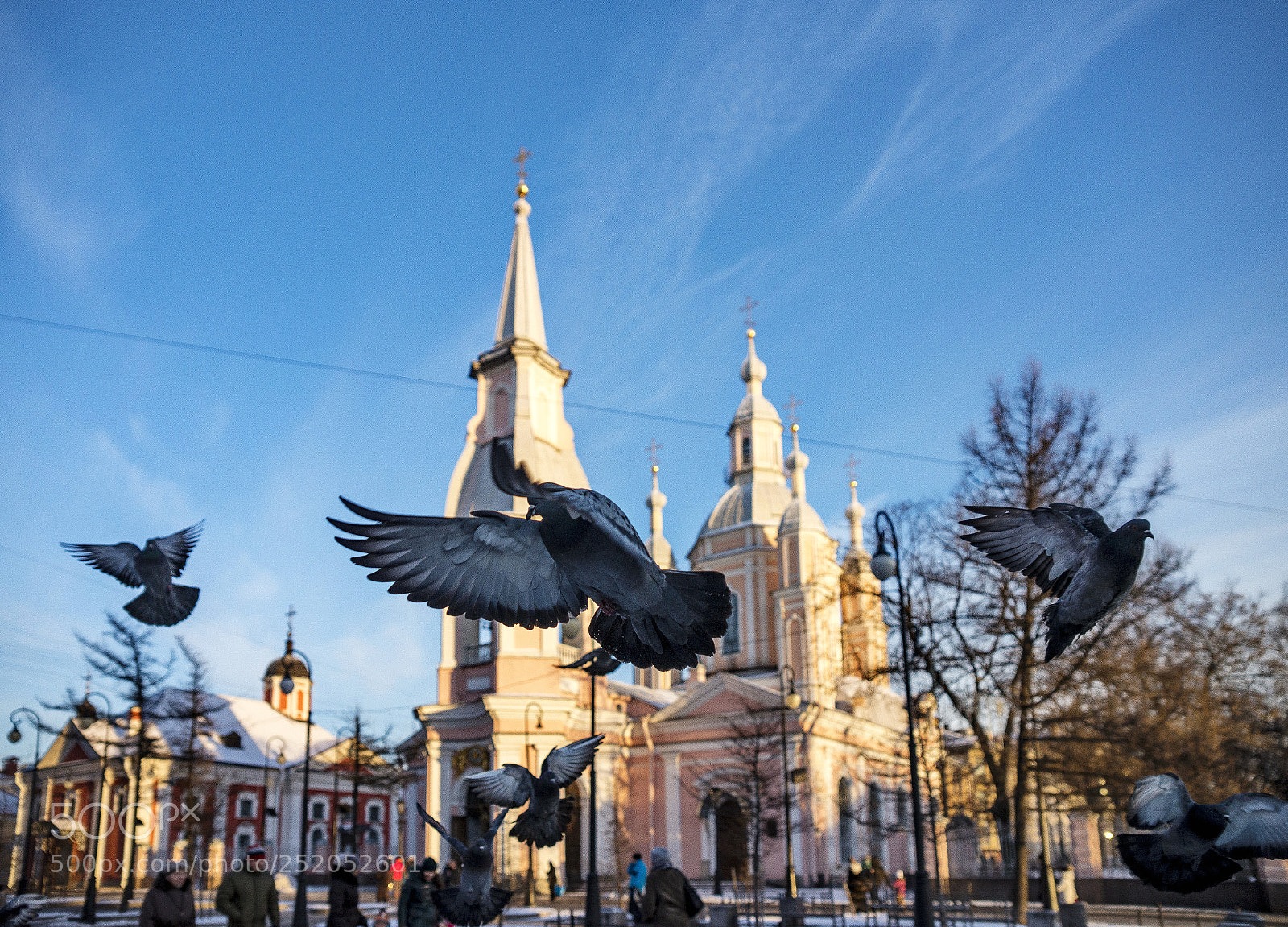 Sony a99 II sample photo. Pigeons of vasilevsky island photography