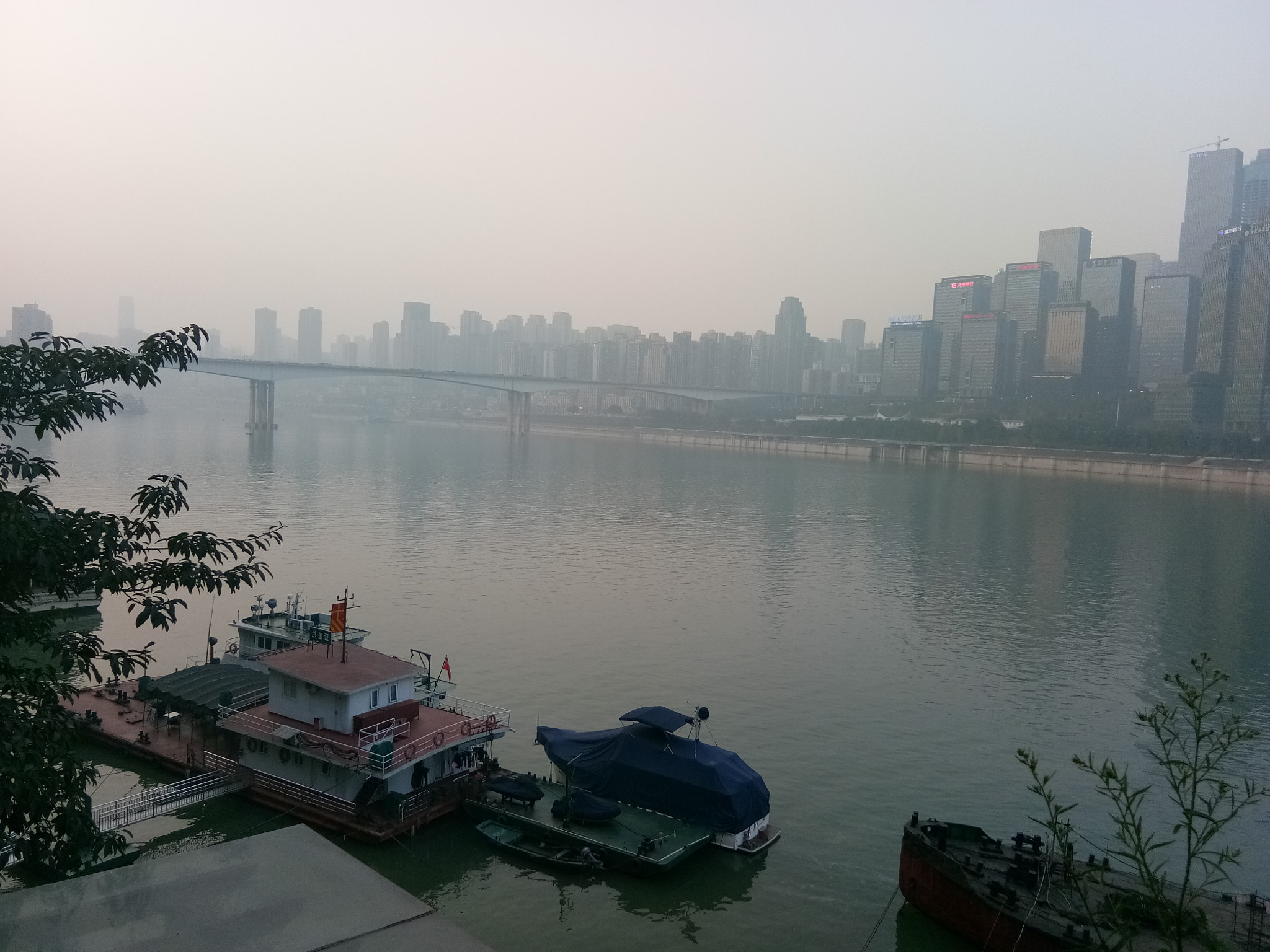 vivo PD1612 sample photo