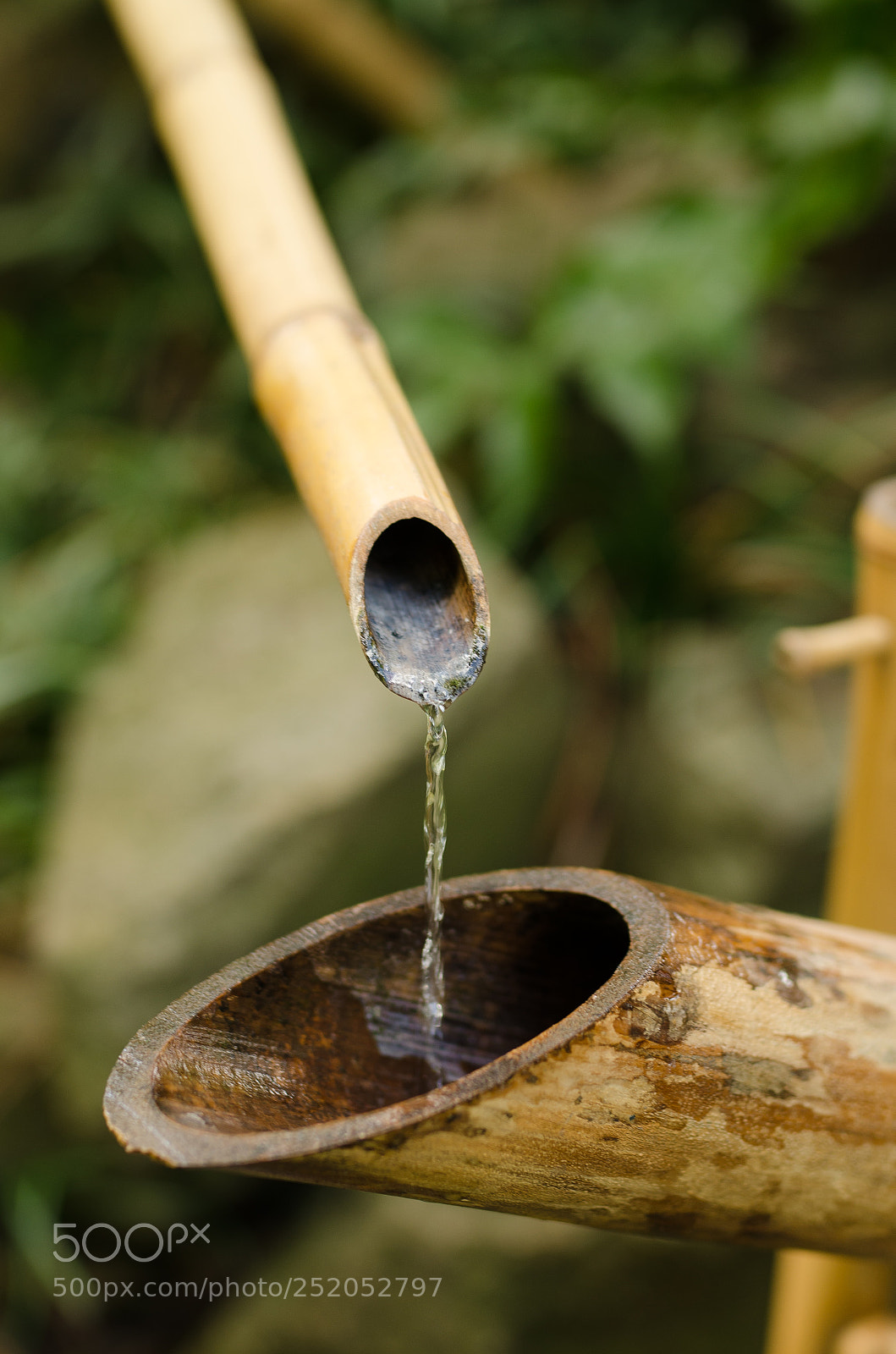 Nikon D7000 sample photo. Bamboo fountain photography