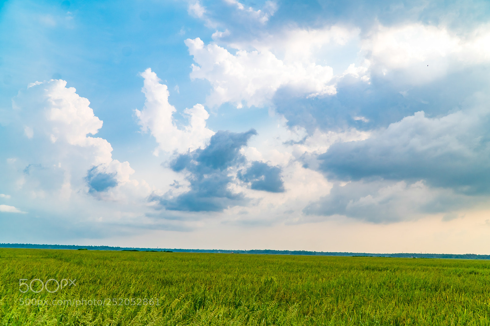 Sony a6300 sample photo. Nature photography
