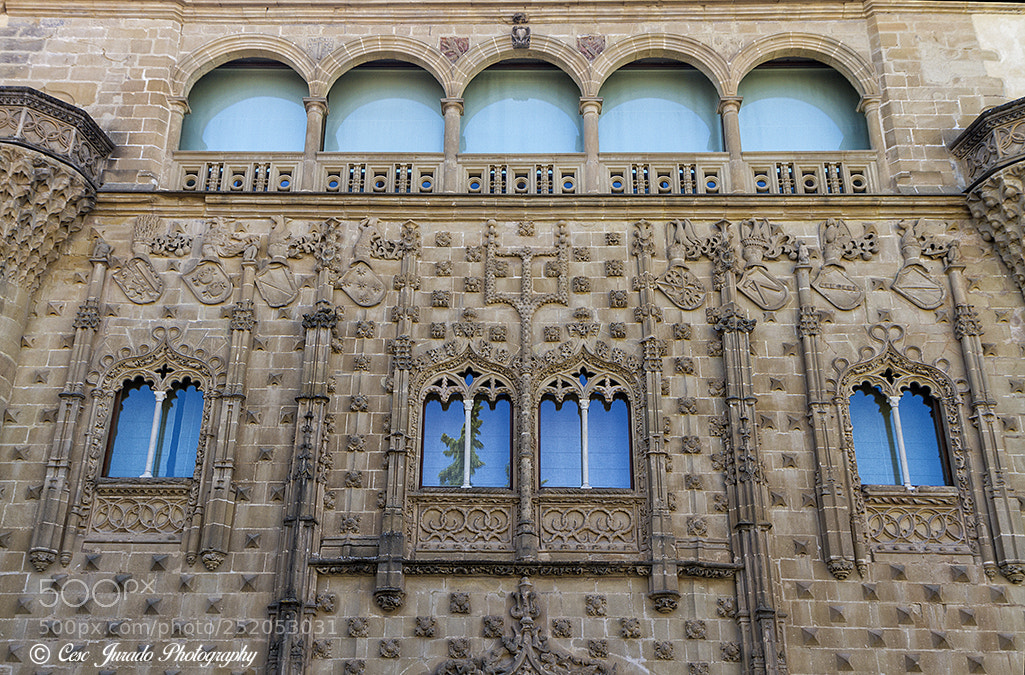 Canon EOS 7D sample photo. Palacio de jabalquinto baeza photography