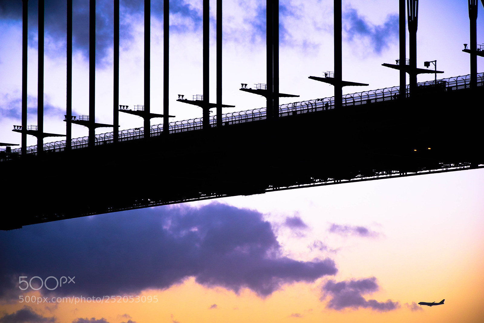Nikon D3300 sample photo. Flying to the sunset photography