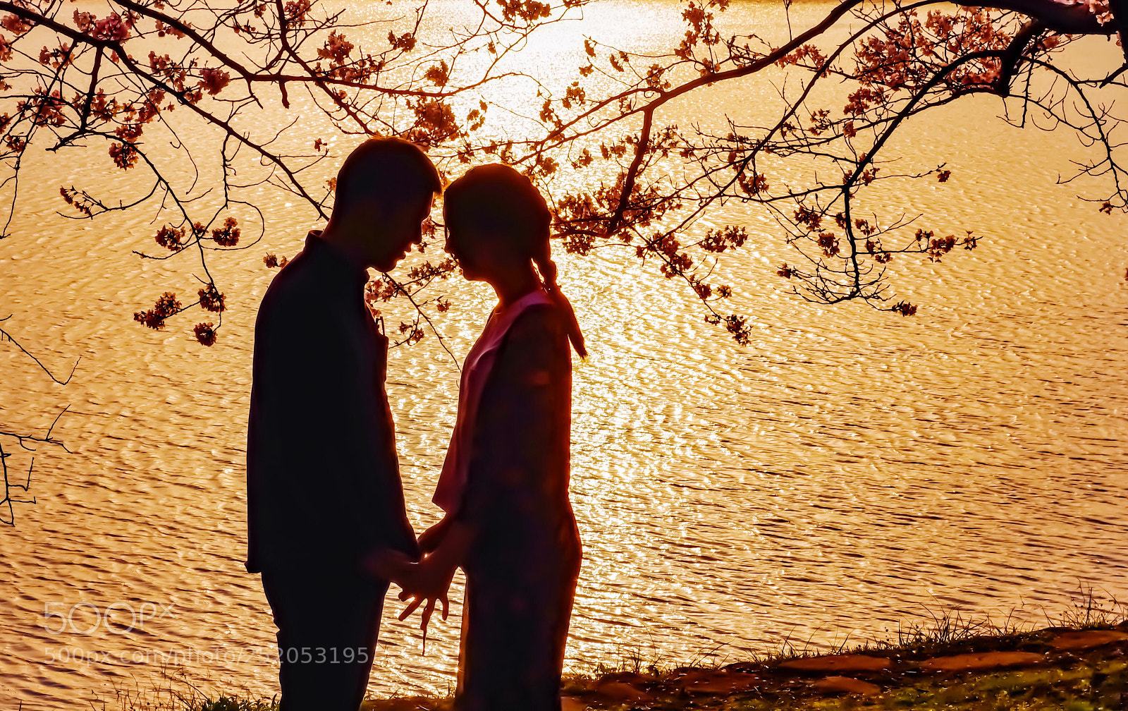 Pentax K-S2 sample photo. Spring lovers photography