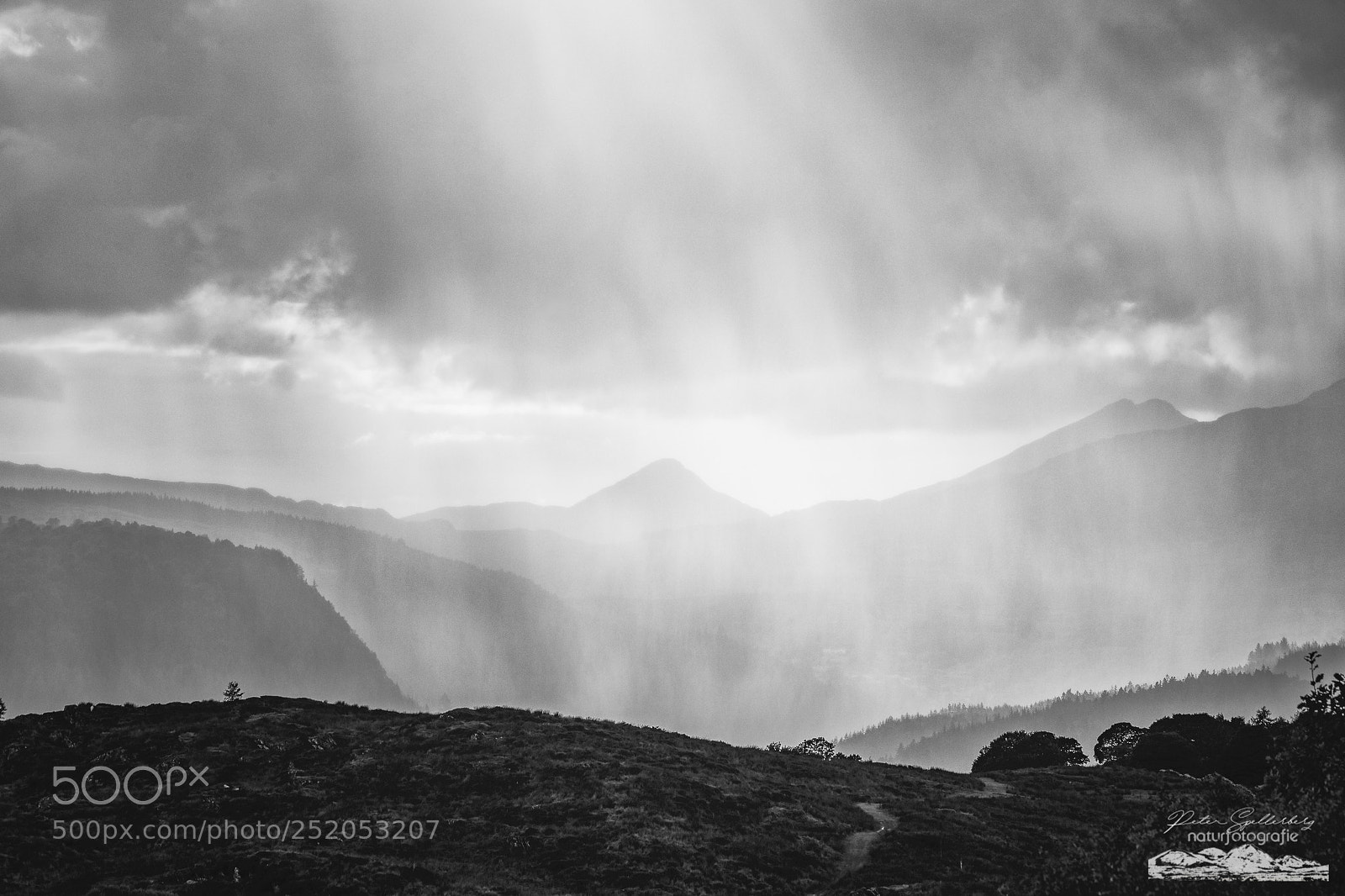Canon EOS 5D Mark IV sample photo. Heavy downpour photography