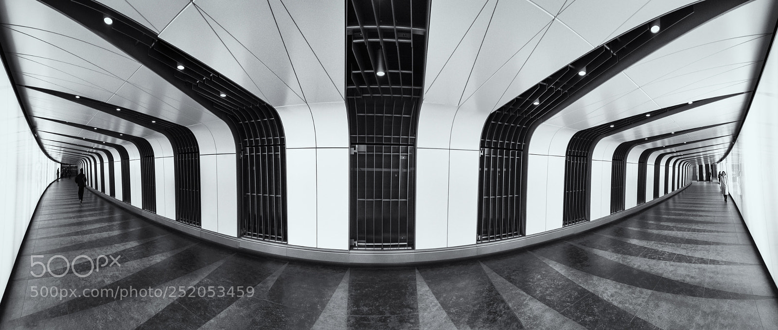 Sony a7 II sample photo. Bendy photography