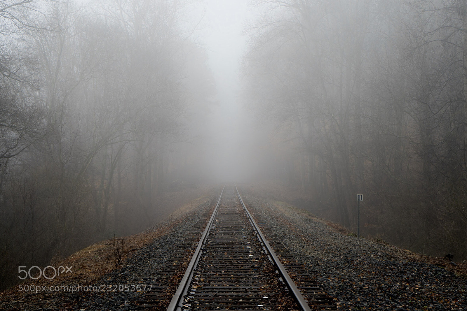 Sony a7R II sample photo. Foggy train tracks photography
